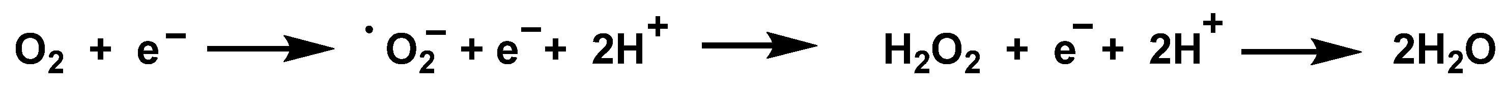 Ijms 23 14049 g001 Ijms 23 14049 g001