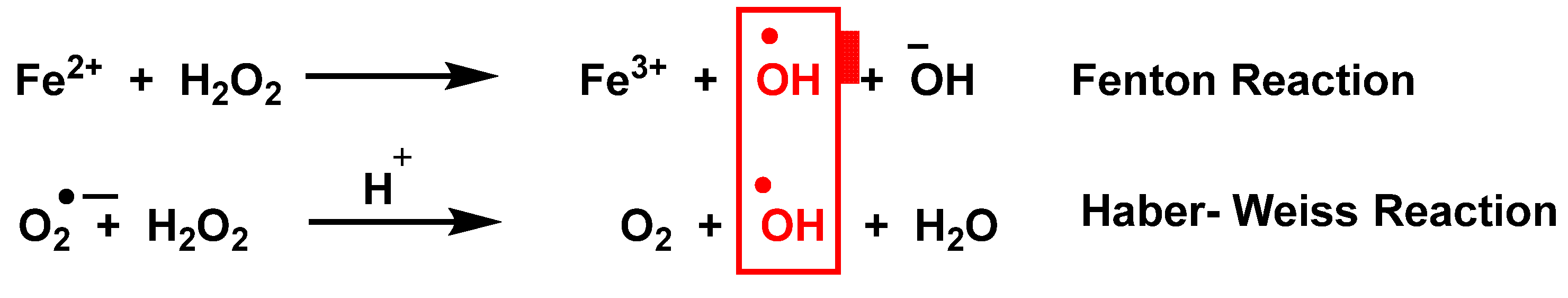 Ijms 23 14049 g002 Ijms 23 14049 g002