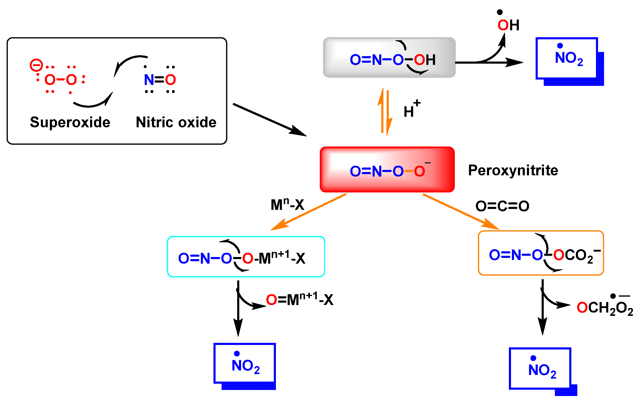 Ijms 23 14049 g003 Ijms 23 14049 g003