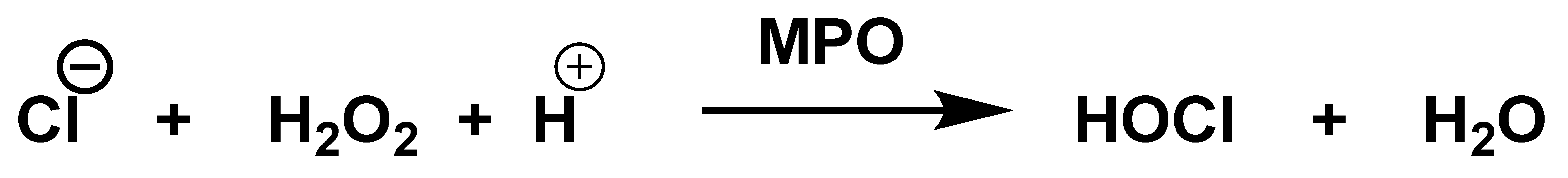 Ijms 23 14049 g004 Ijms 23 14049 g004