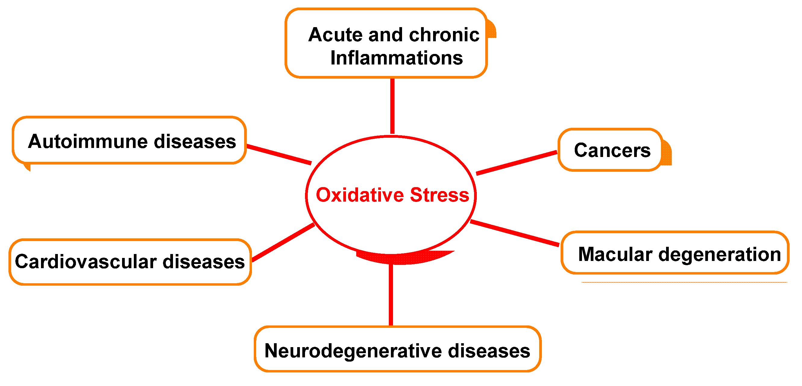 Ijms 23 14049 g005 Ijms 23 14049 g005