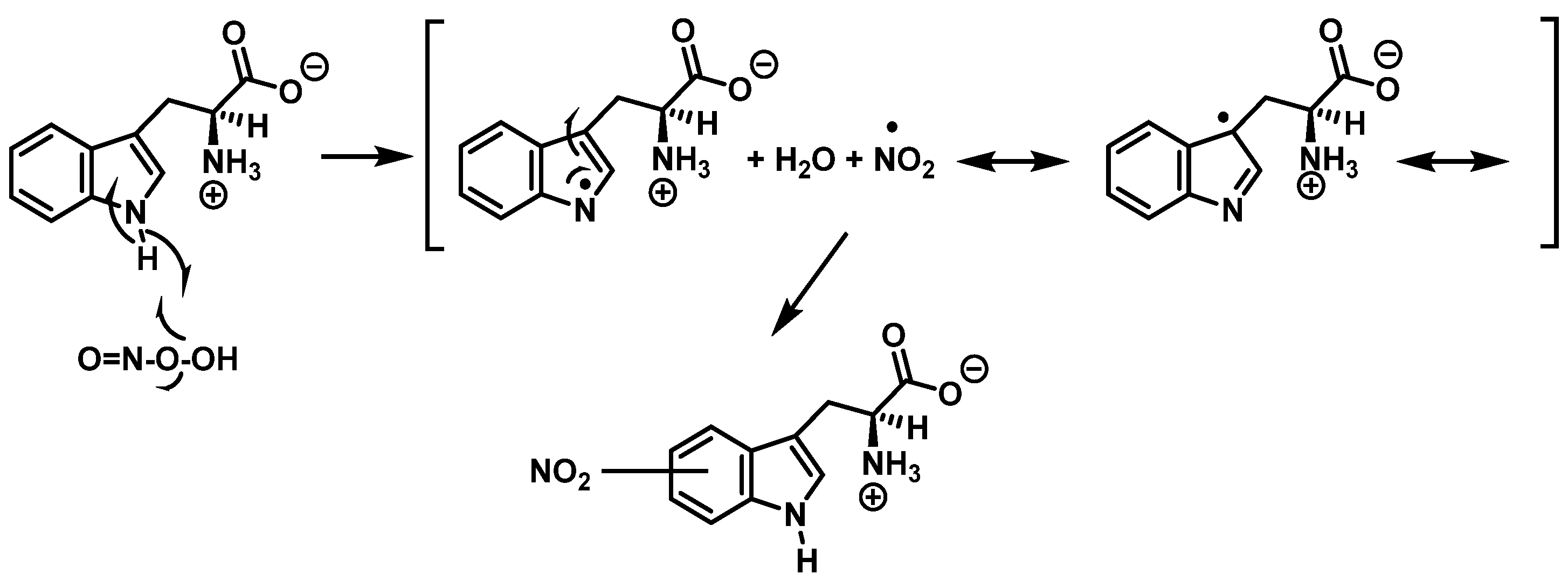 Ijms 23 14049 g010 550