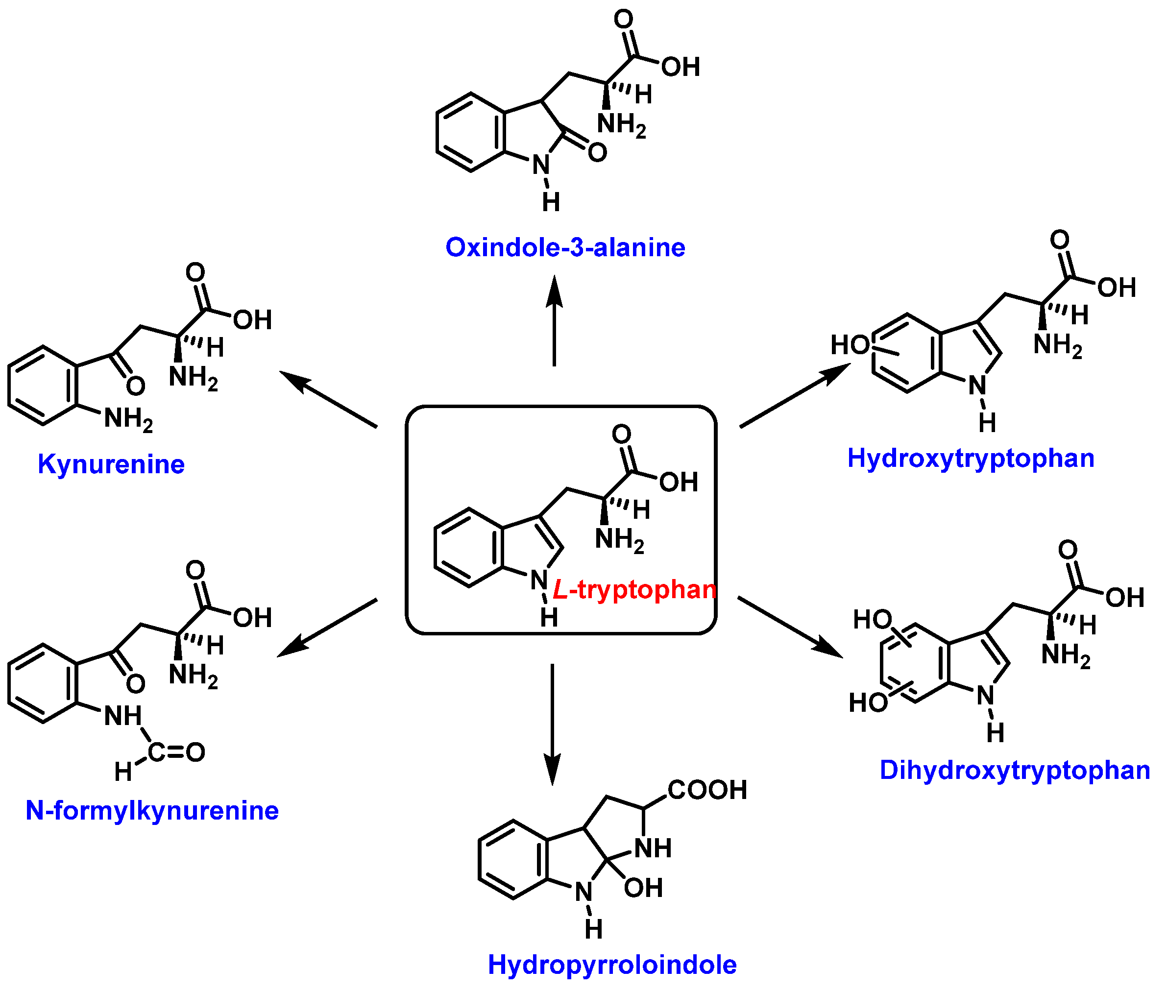 Ijms 23 14049 g012 550