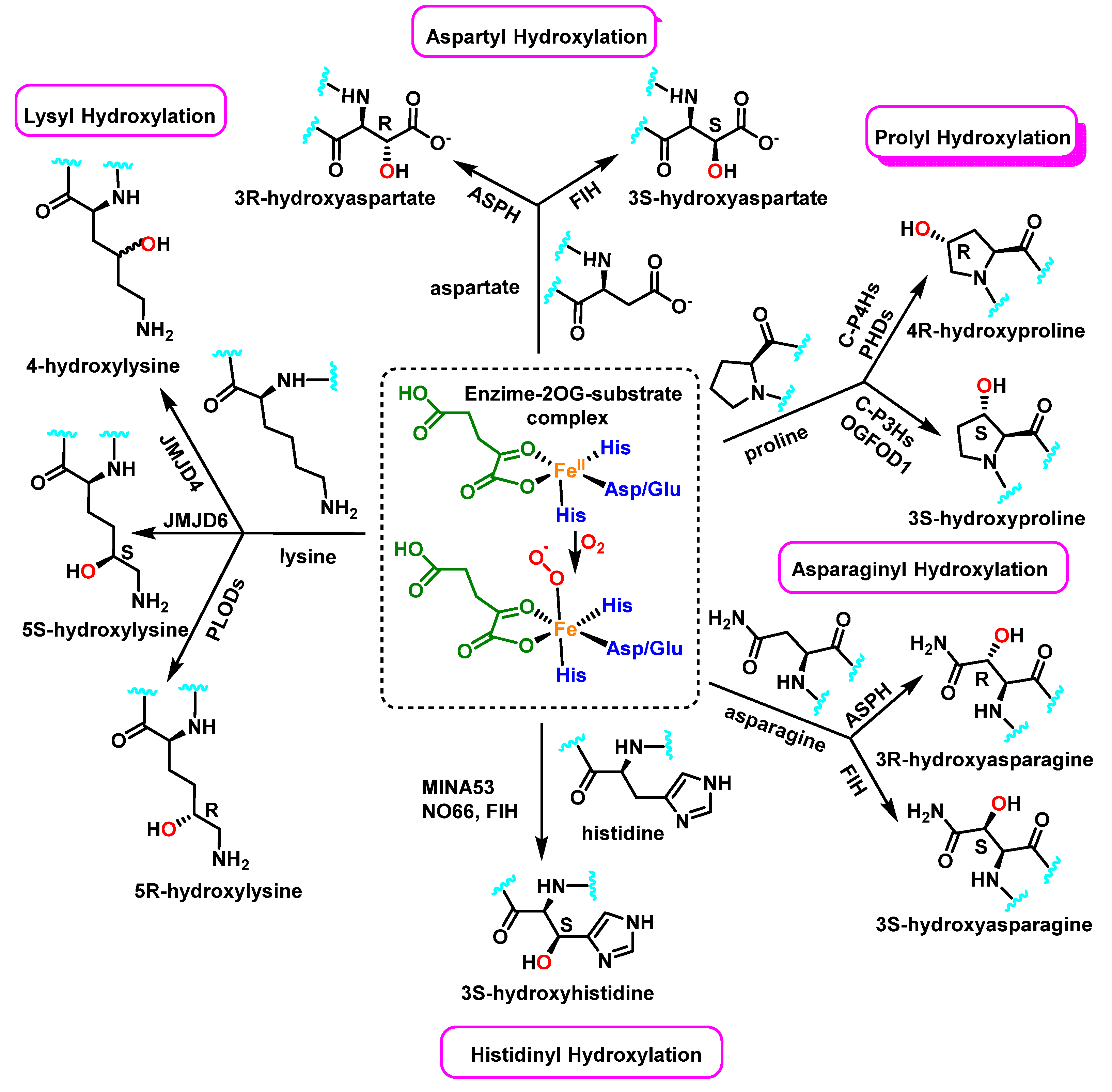 Ijms 23 14049 g023 Ijms 23 14049 g023