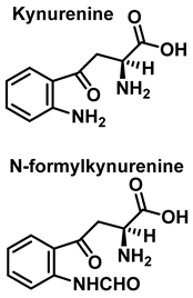 Ijms 23 14049 i007 Ijms 23 14049 i007