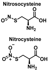 Ijms 23 14049 i011 Ijms 23 14049 i011