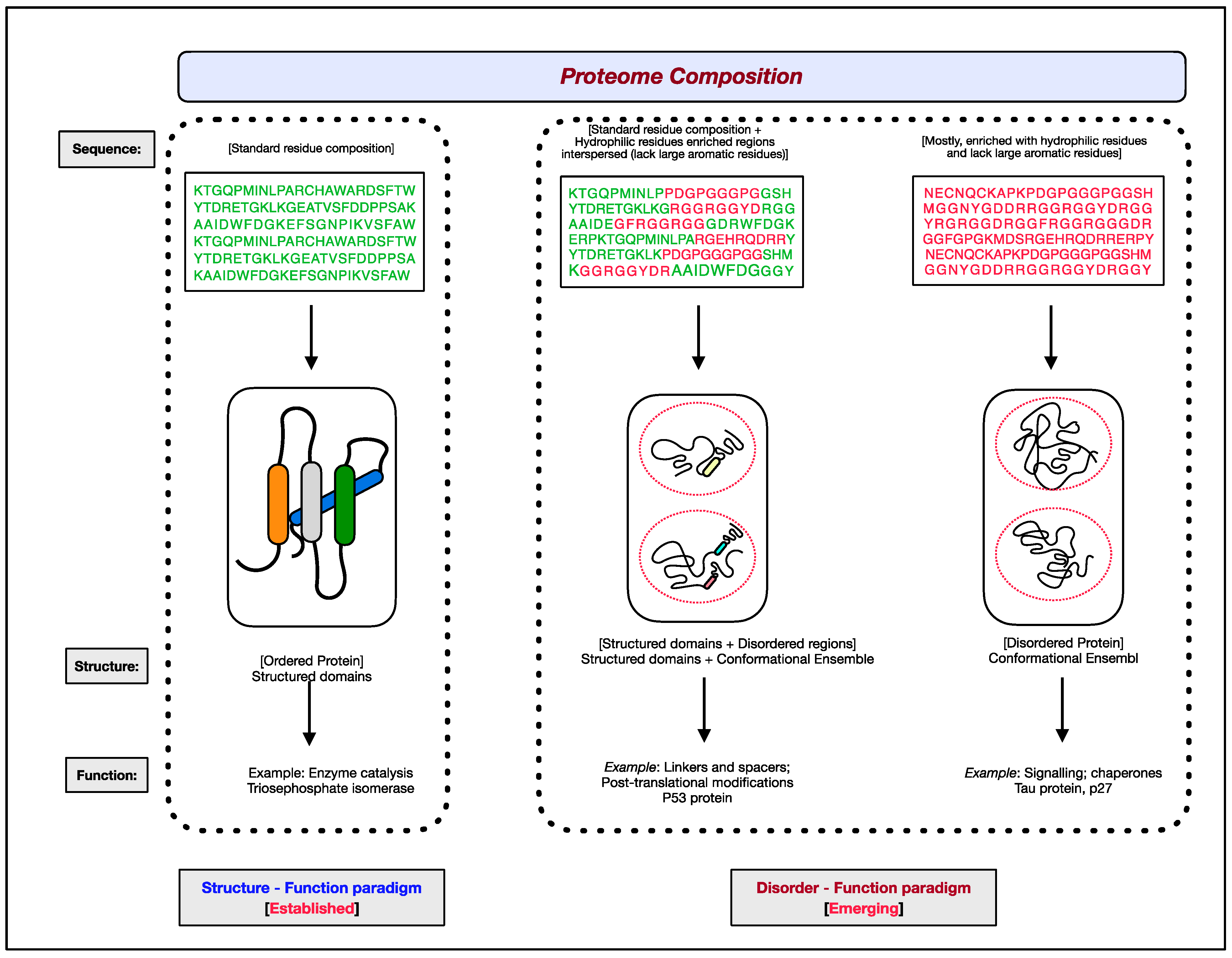 IJMS Free Full Text Intrinsically Disordered Proteins An Overview ijms-free-full-text-intrinsically-disordered-proteins-an-overview
