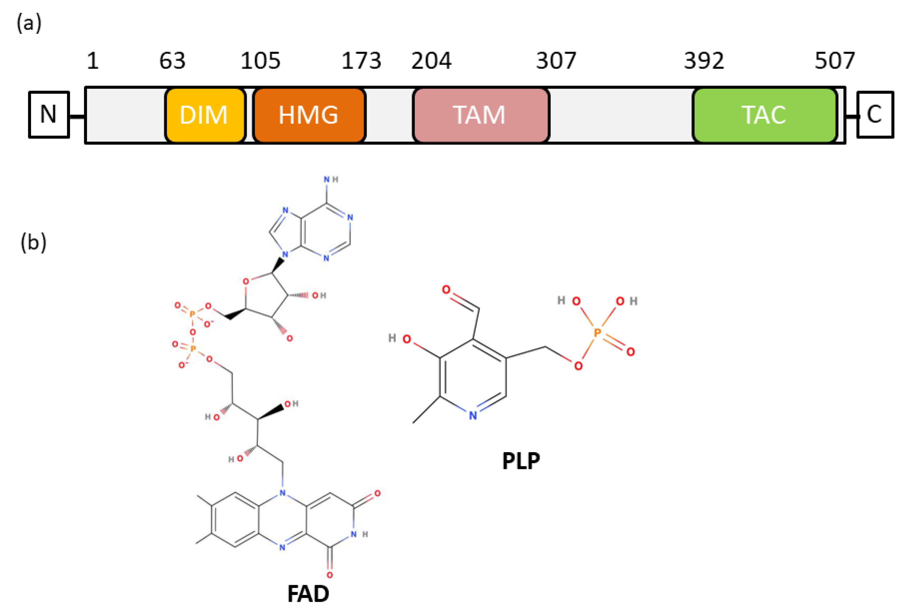 Fad Structure.