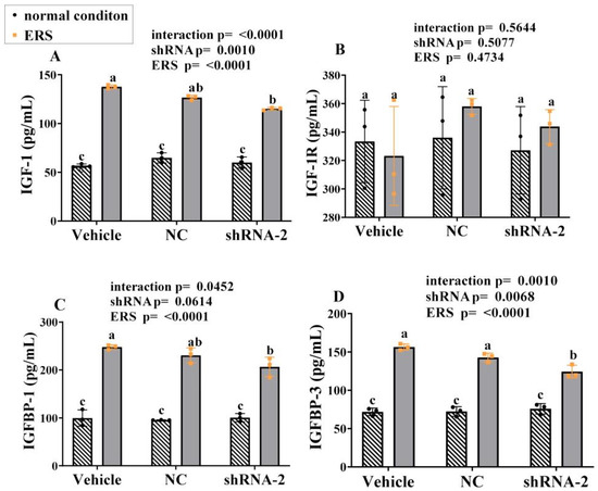 ああ 未使用 OFFSPRING x ADIDAS ZX 8000 29.5cm - メルカリ