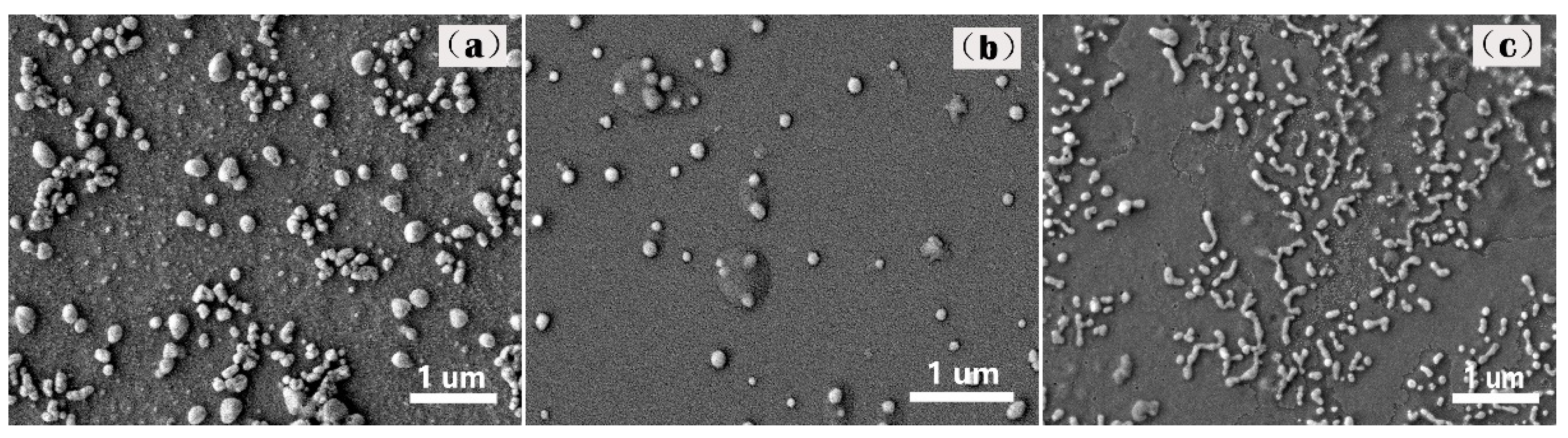 Ijms 23 14063 g002 Ijms 23 14063 g002