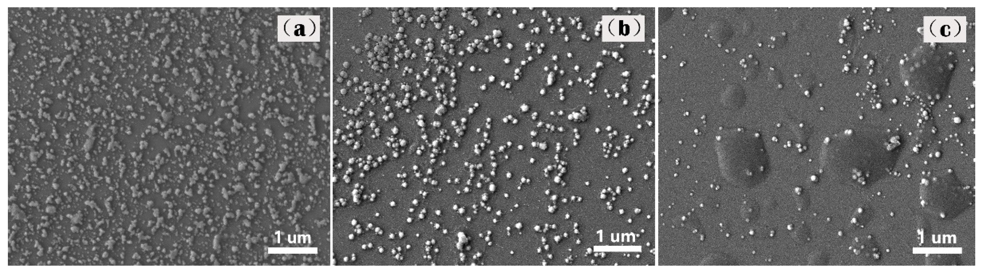 Ijms 23 14063 g003 Ijms 23 14063 g003