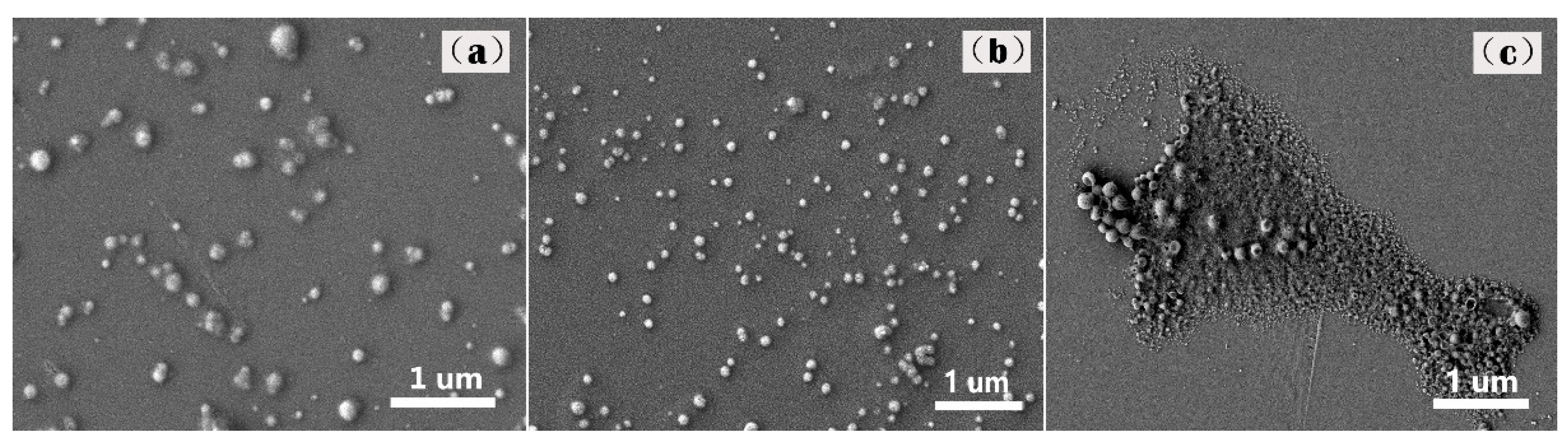 Ijms 23 14063 g004 Ijms 23 14063 g004