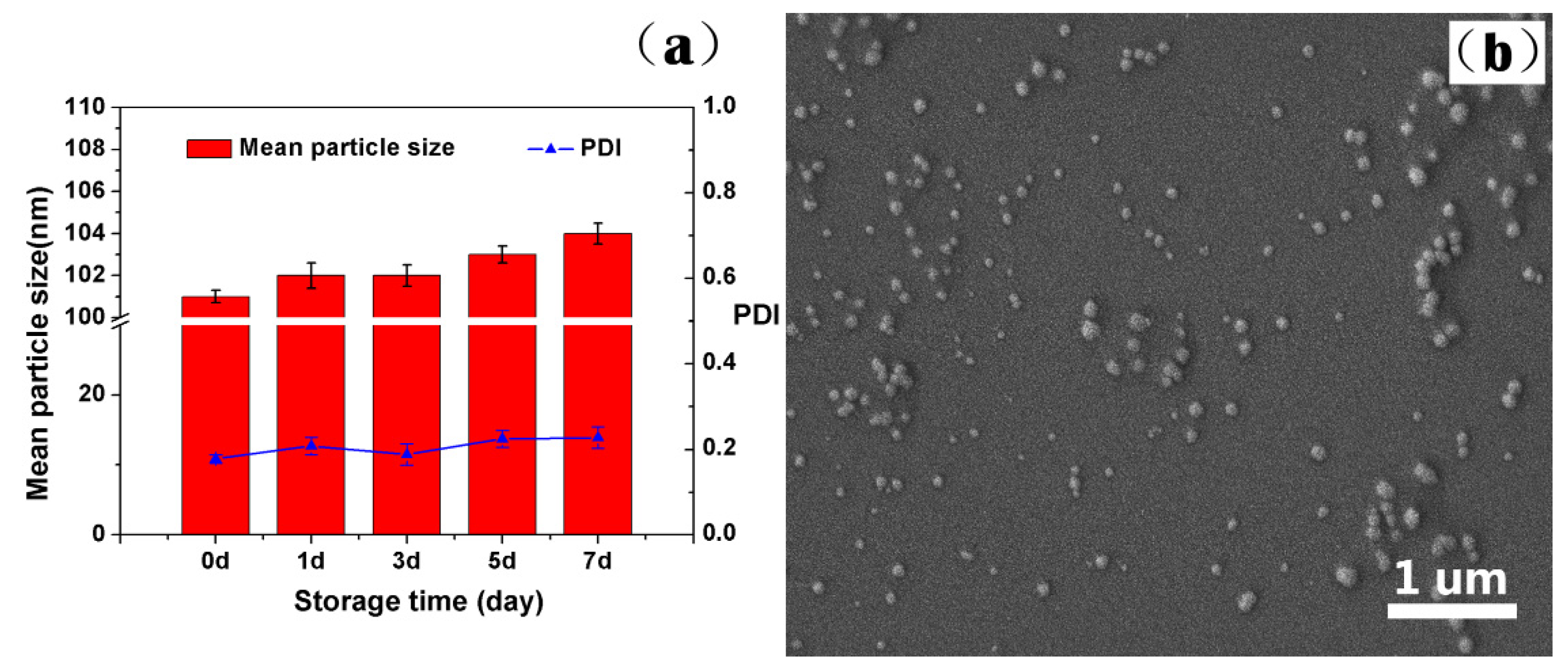 Ijms 23 14063 g008 Ijms 23 14063 g008
