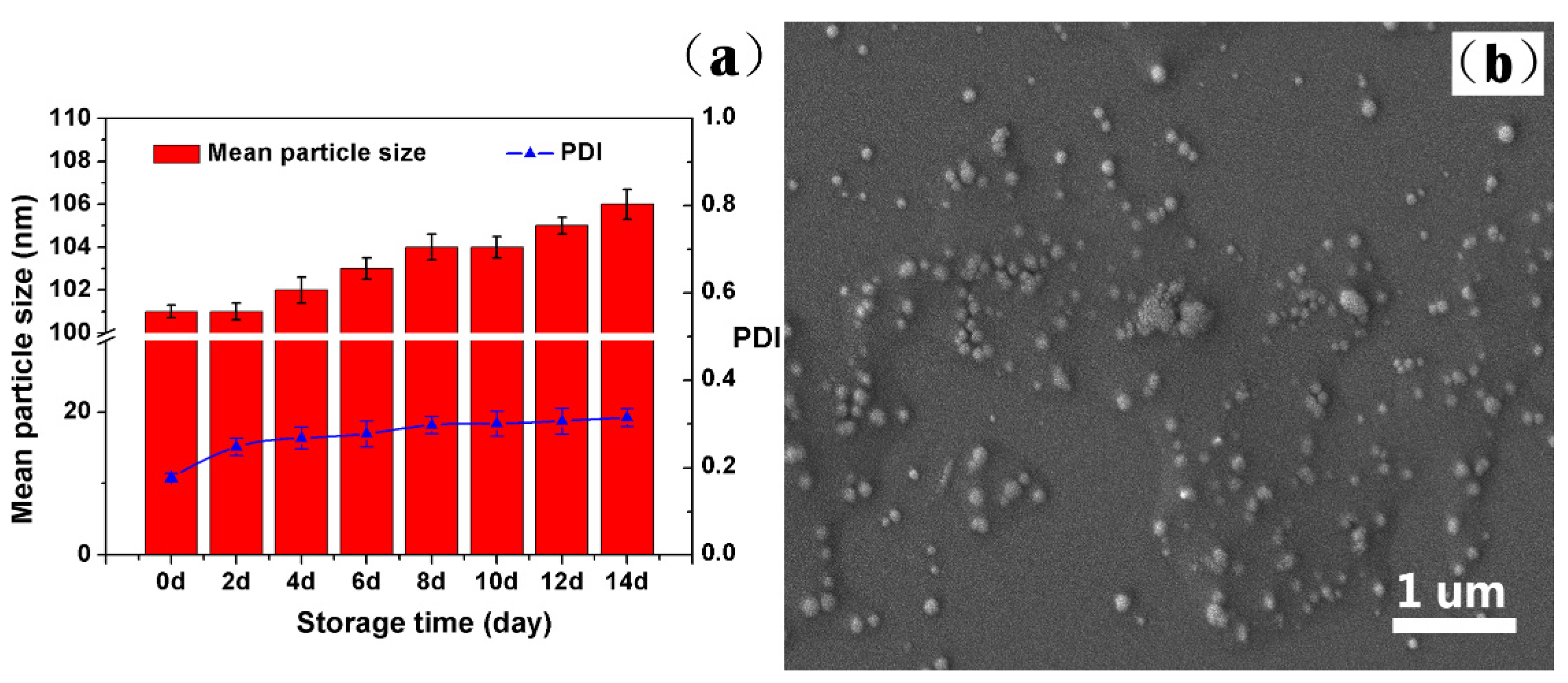 Ijms 23 14063 g009 Ijms 23 14063 g009
