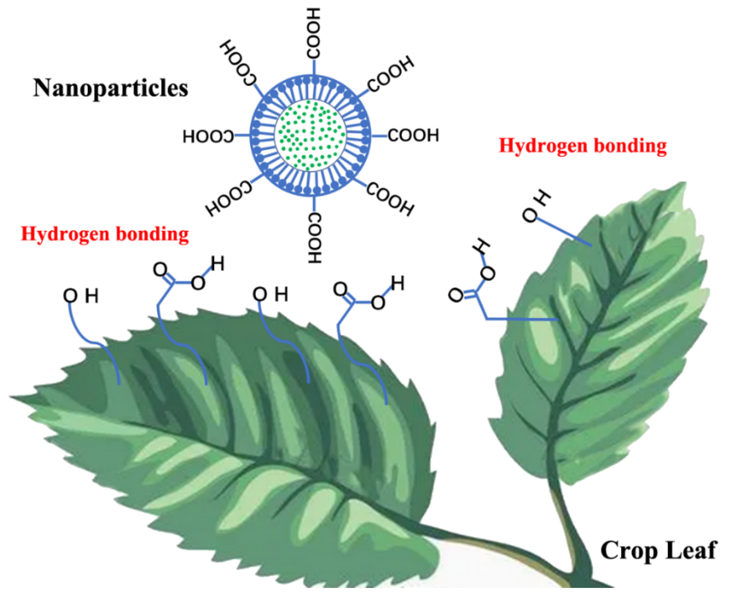 Ijms 23 14063 sch002 Ijms 23 14063 sch002