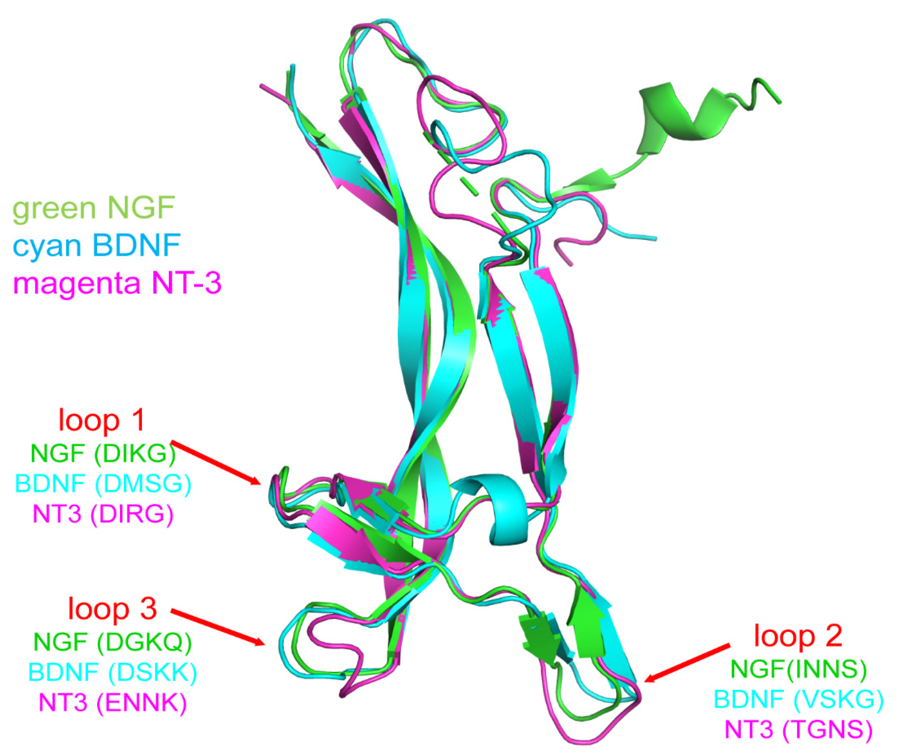 Ijms 23 14069 g001 Ijms 23 14069 g001