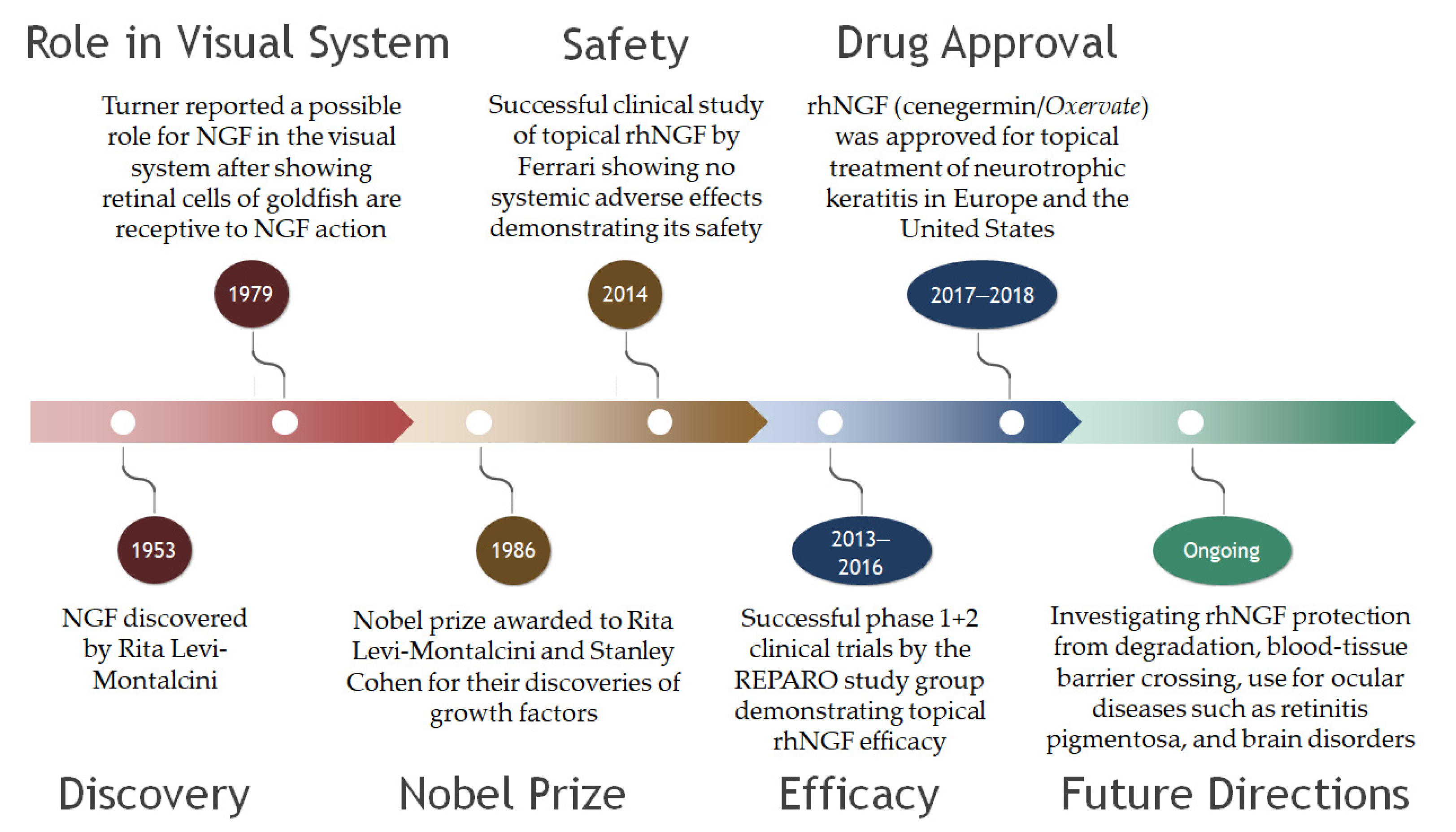 Ijms 23 14069 g003 Ijms 23 14069 g003