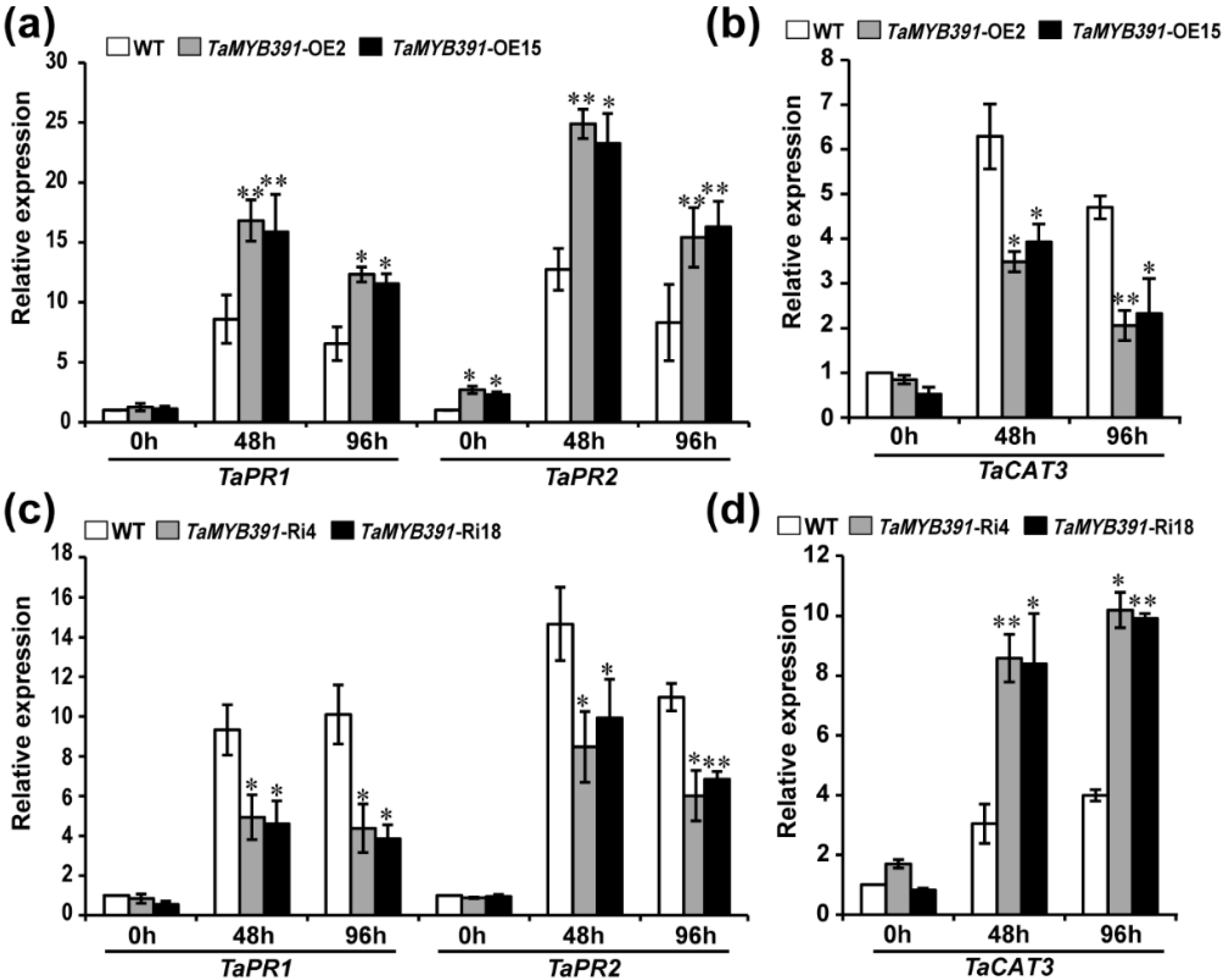 Ijms 23 14070 g005 Ijms 23 14070 g005