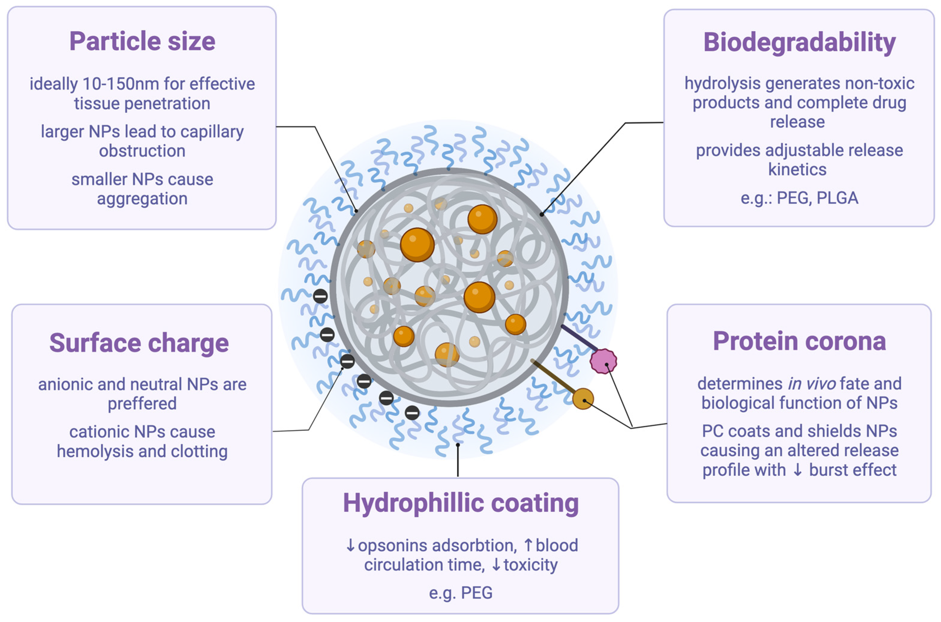 Ijms 23 14071 g004 Ijms 23 14071 g004