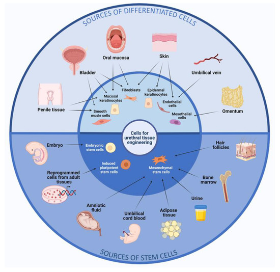 Sources, Selection, and Microenvironmental Preconditioning