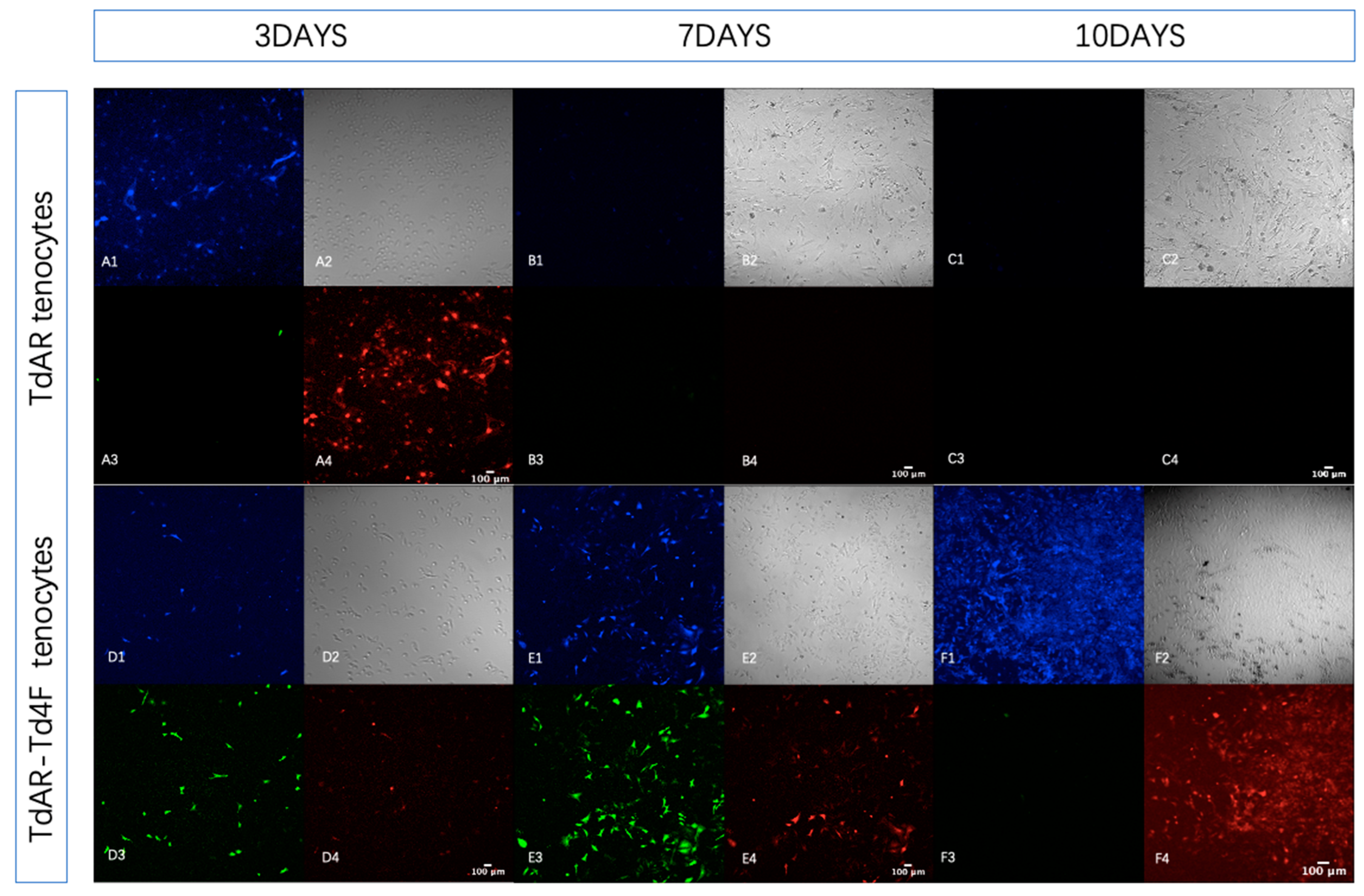 Ijms 23 14078 g005 Ijms 23 14078 g005