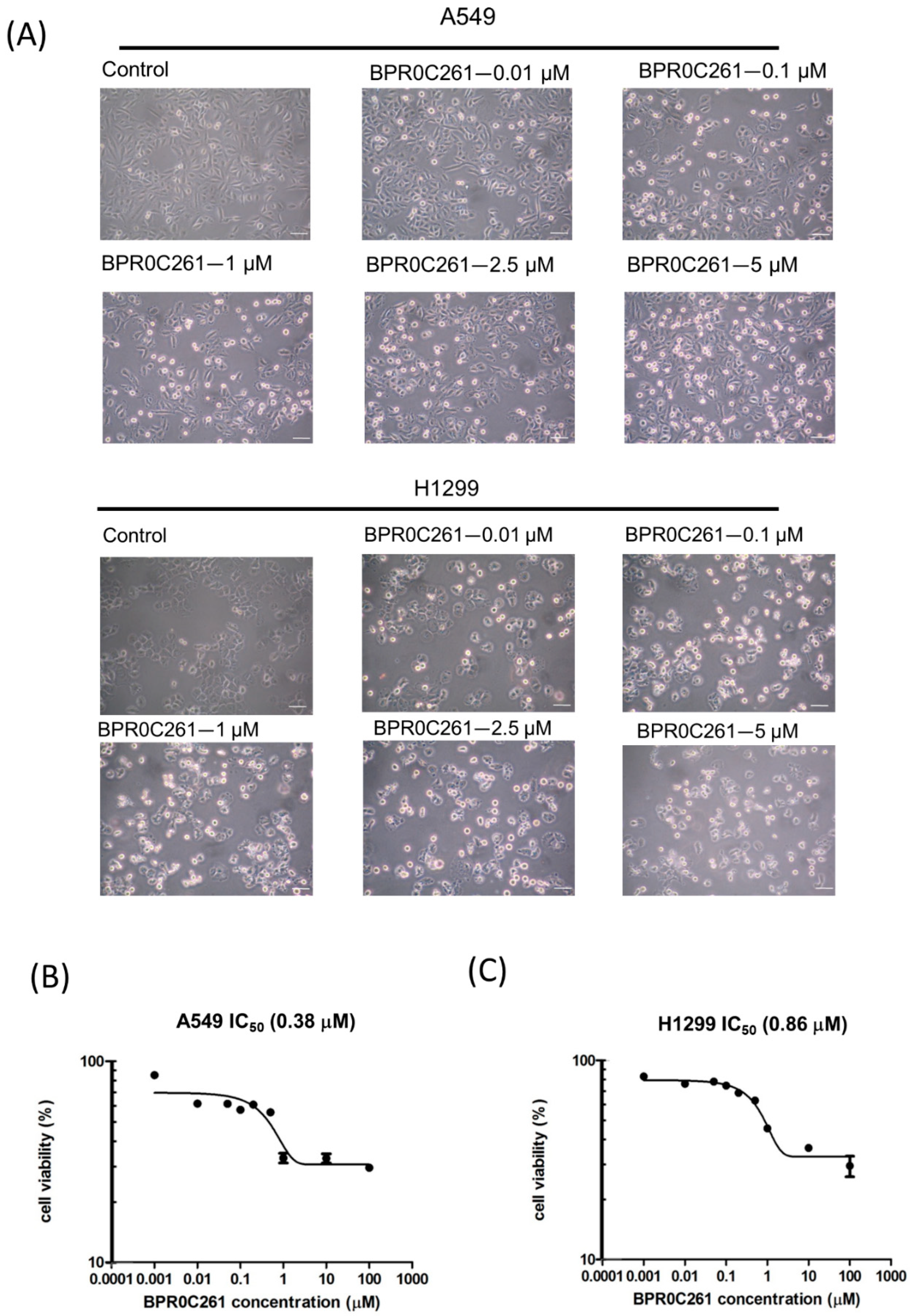 Ijms 23 14083 g001 Ijms 23 14083 g001