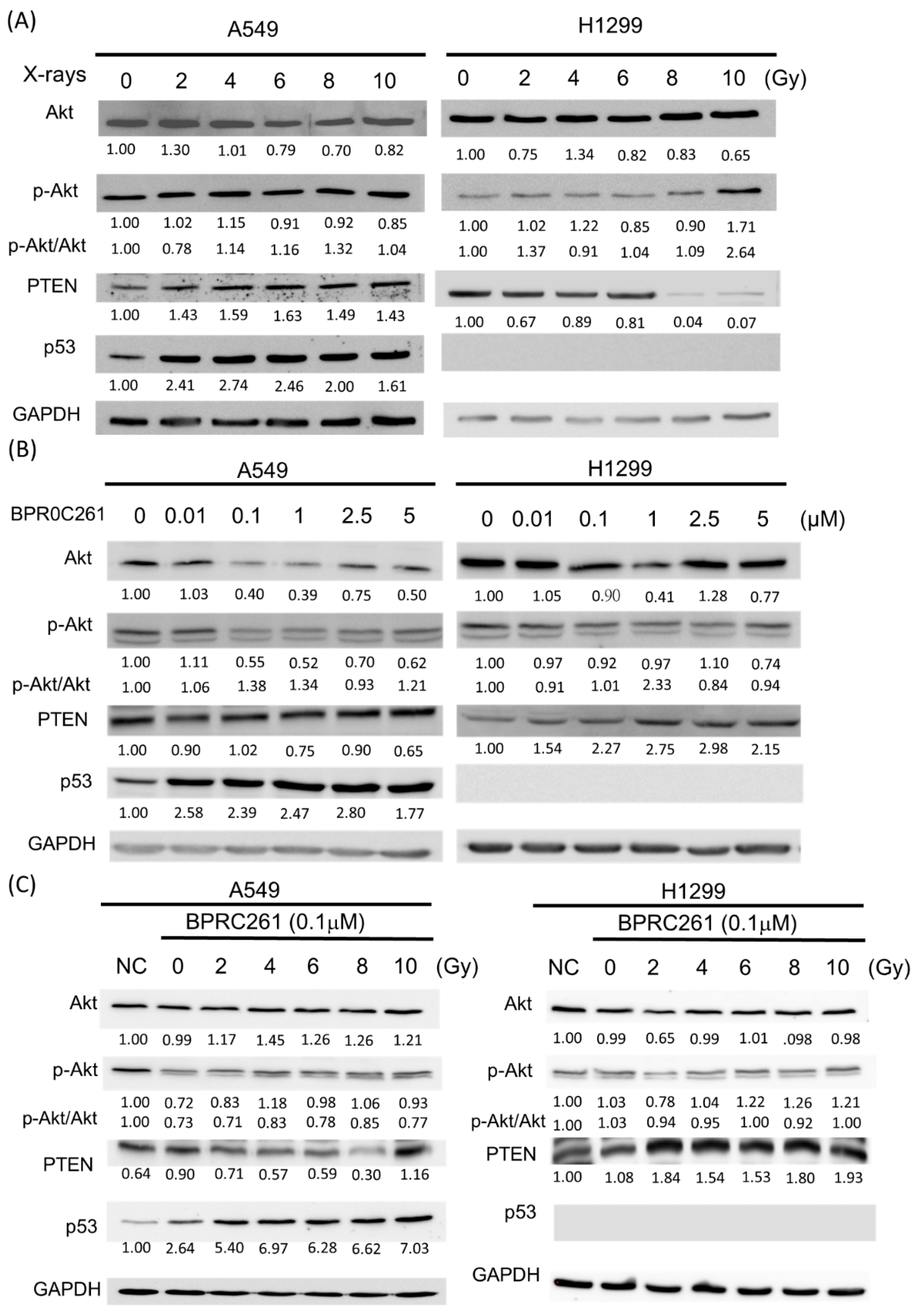 Ijms 23 14083 g006 Ijms 23 14083 g006