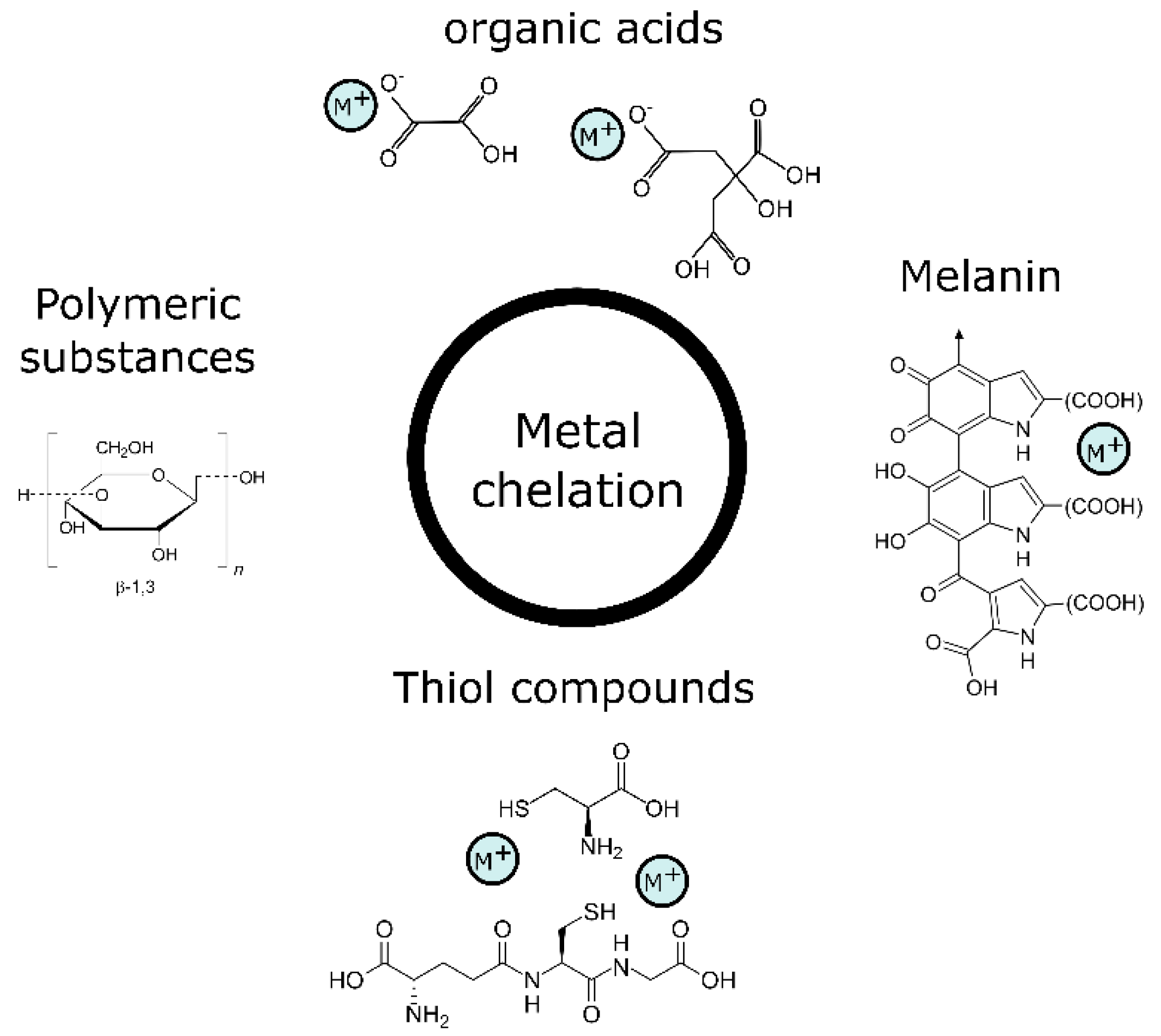 Ijms 23 14084 g002 Ijms 23 14084 g002