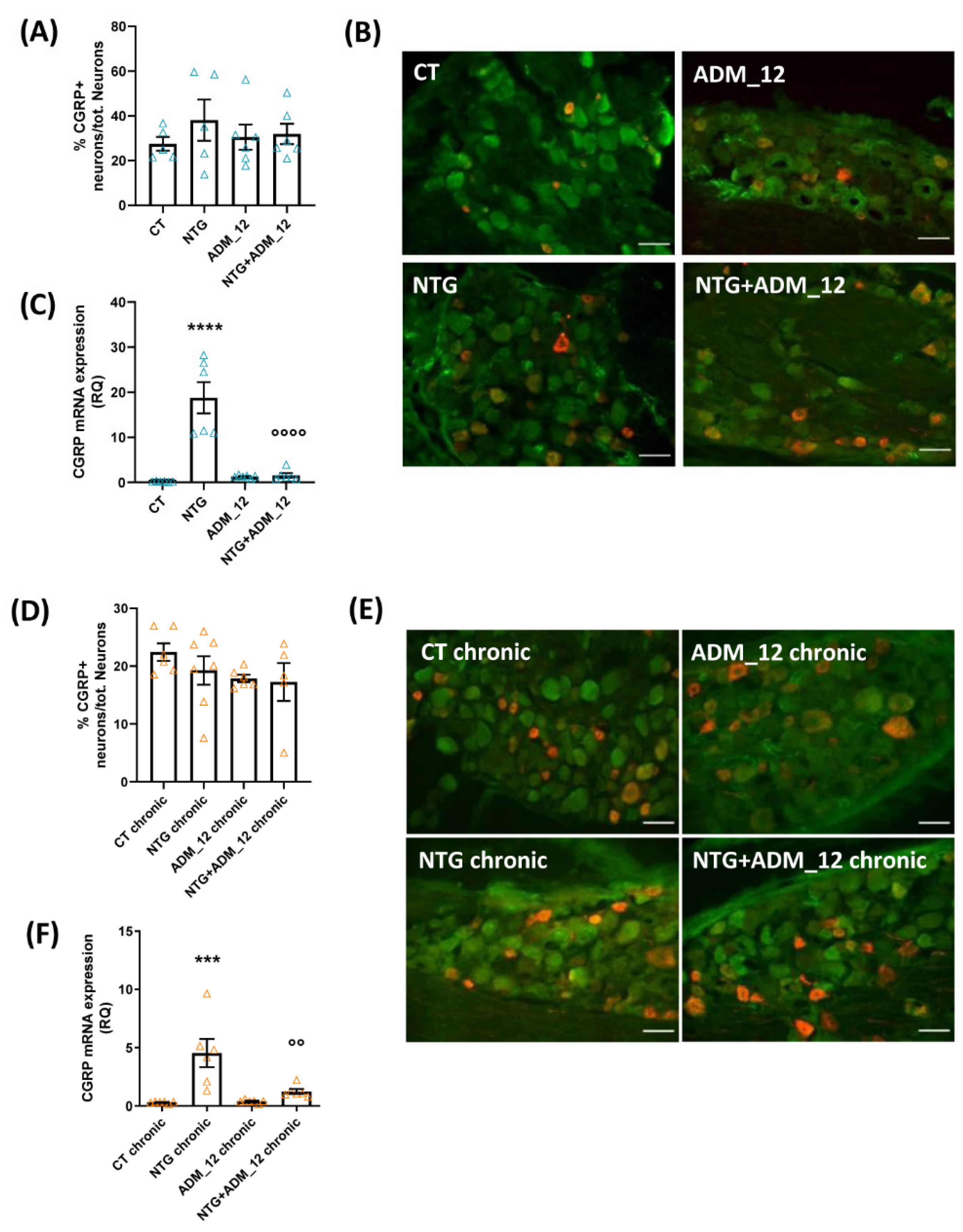 Ijms 23 14085 g002 Ijms 23 14085 g002