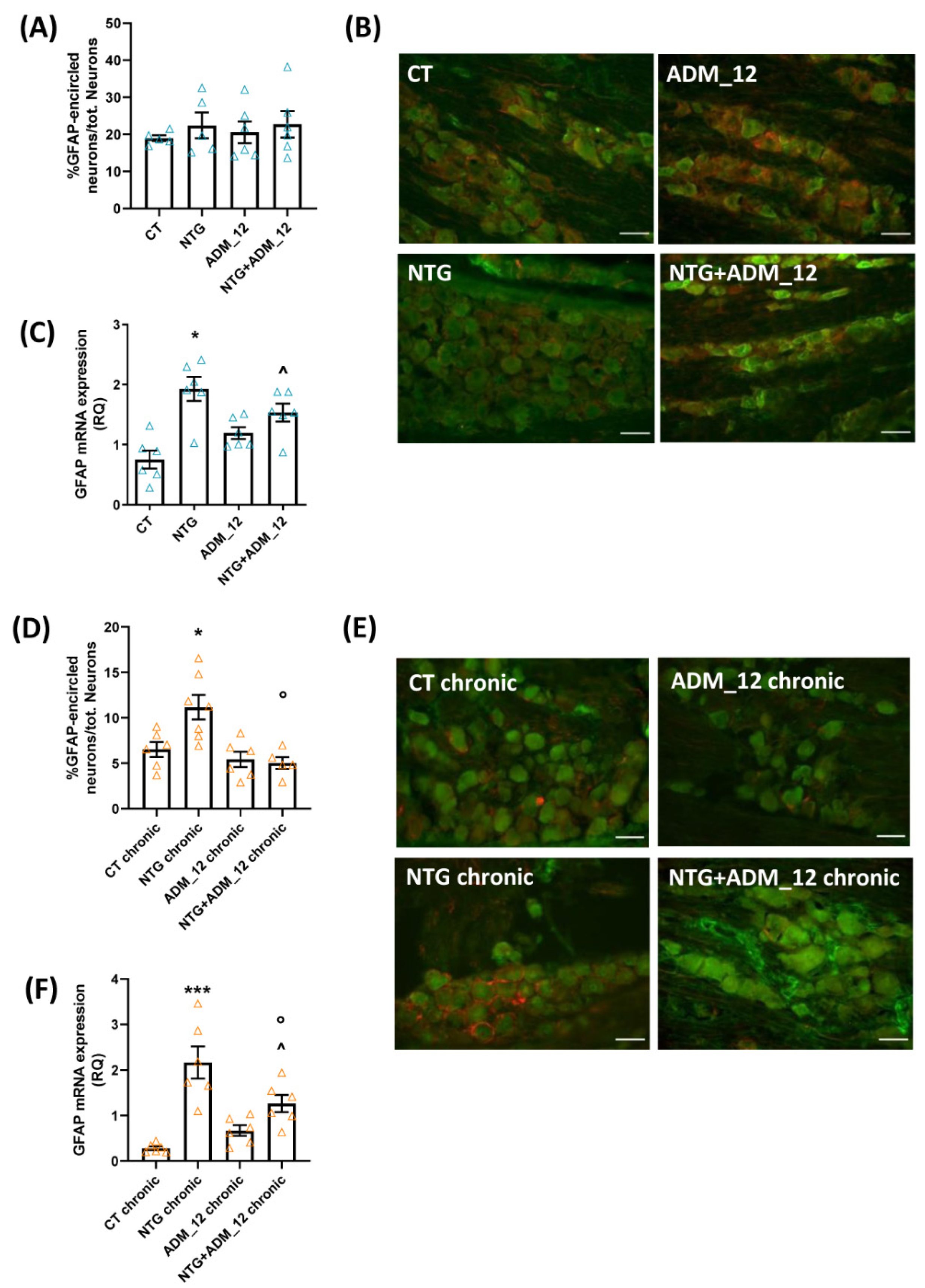 Ijms 23 14085 g004 Ijms 23 14085 g004