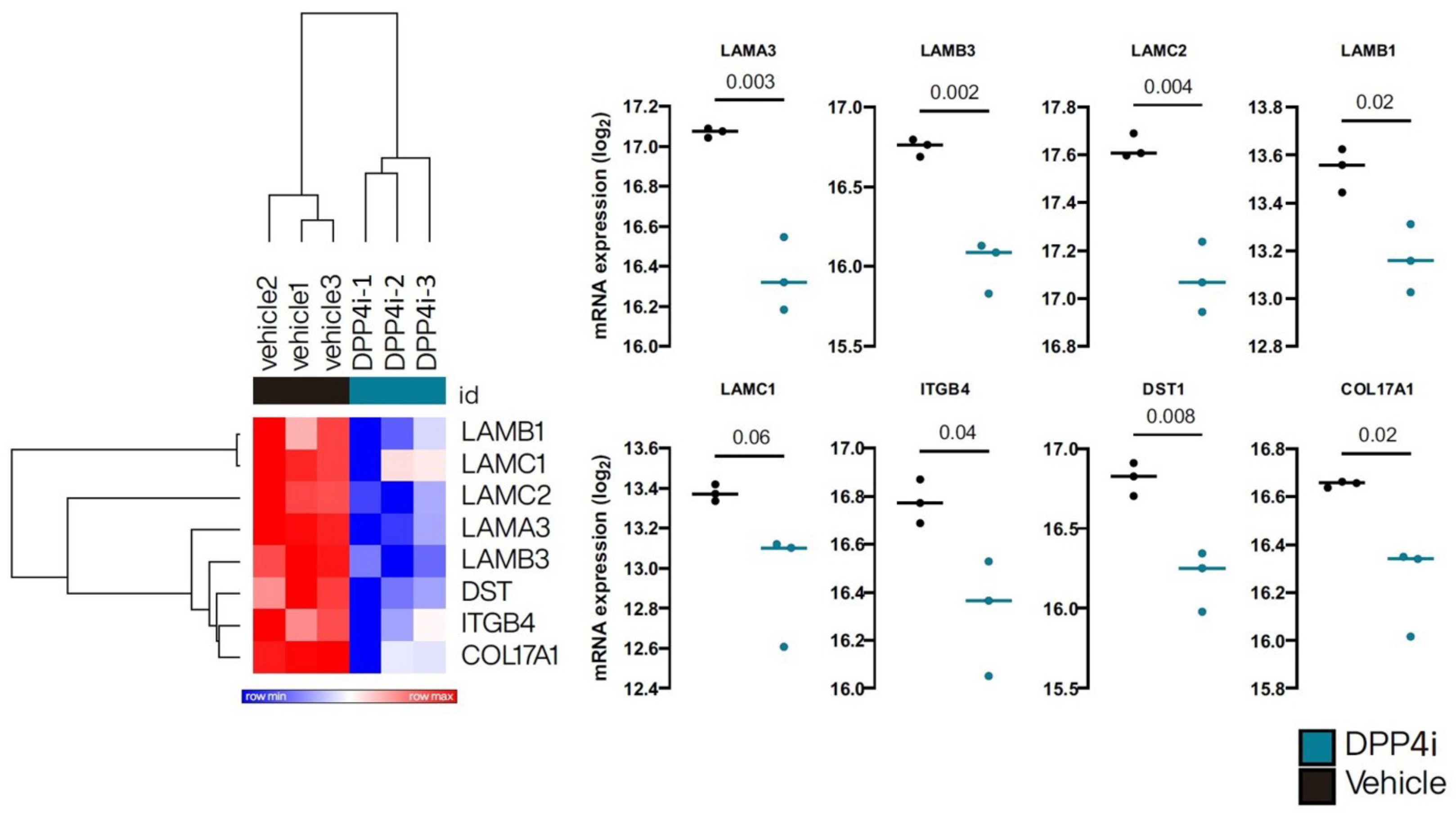 Ijms 23 14101 g002 Ijms 23 14101 g002