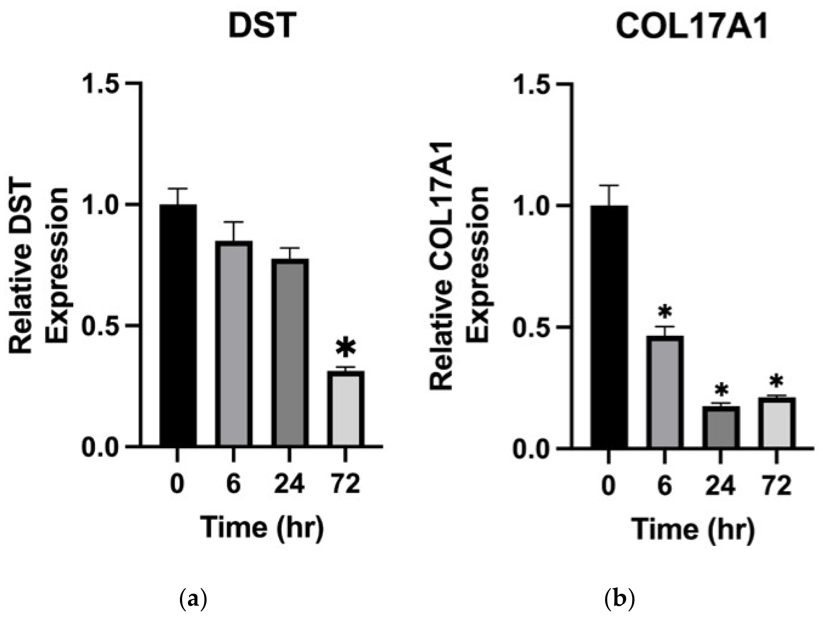 Ijms 23 14101 g003 Ijms 23 14101 g003