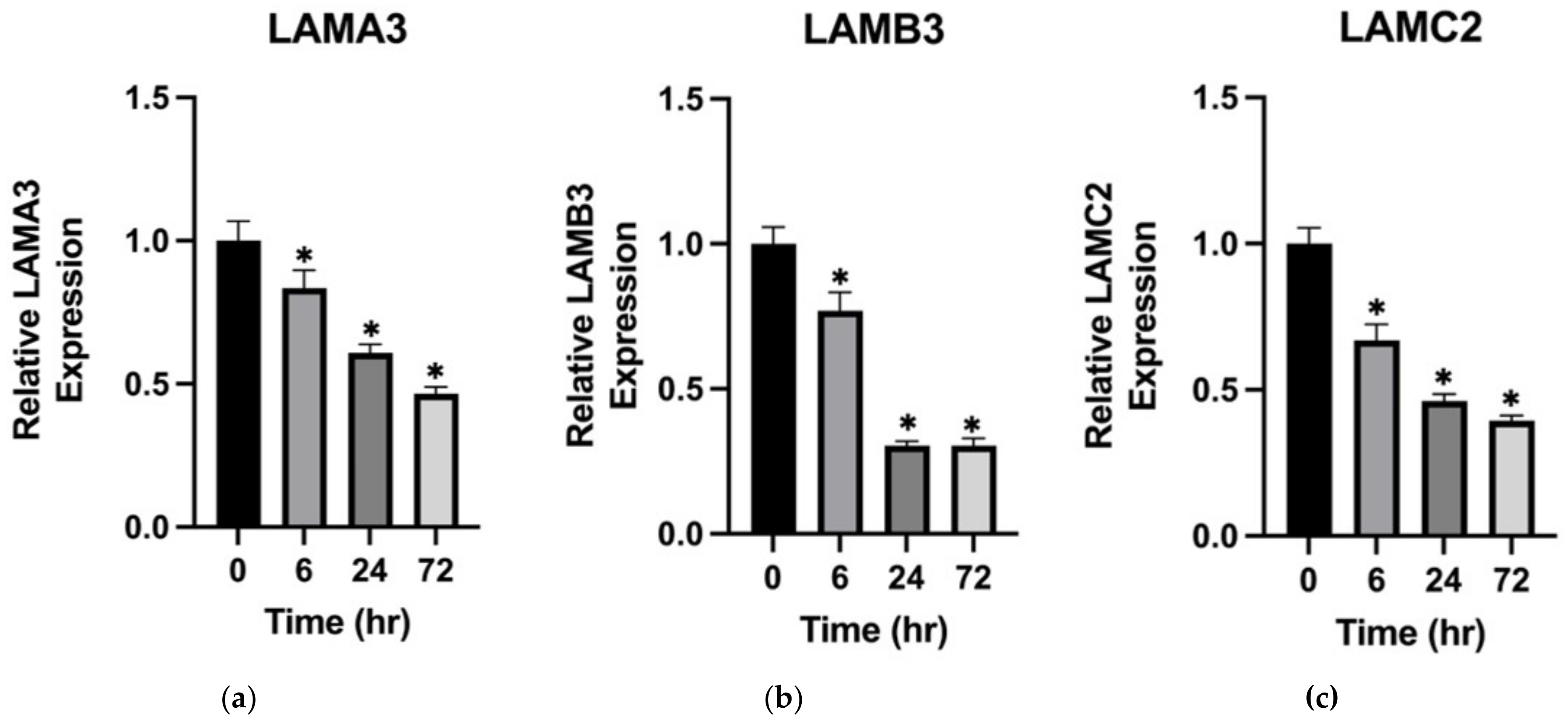 Ijms 23 14101 g004 Ijms 23 14101 g004