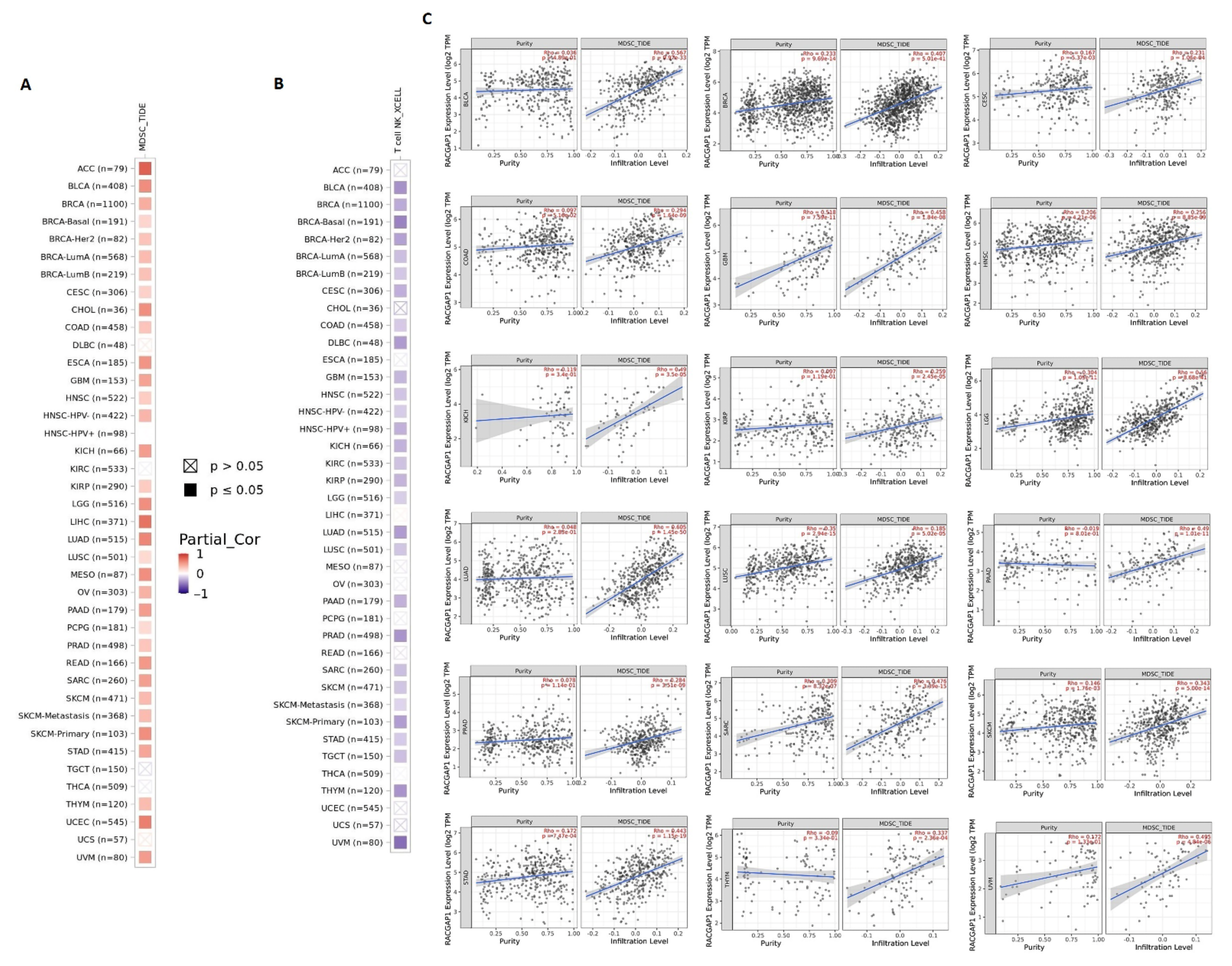 Ijms 23 14102 g007 Ijms 23 14102 g007