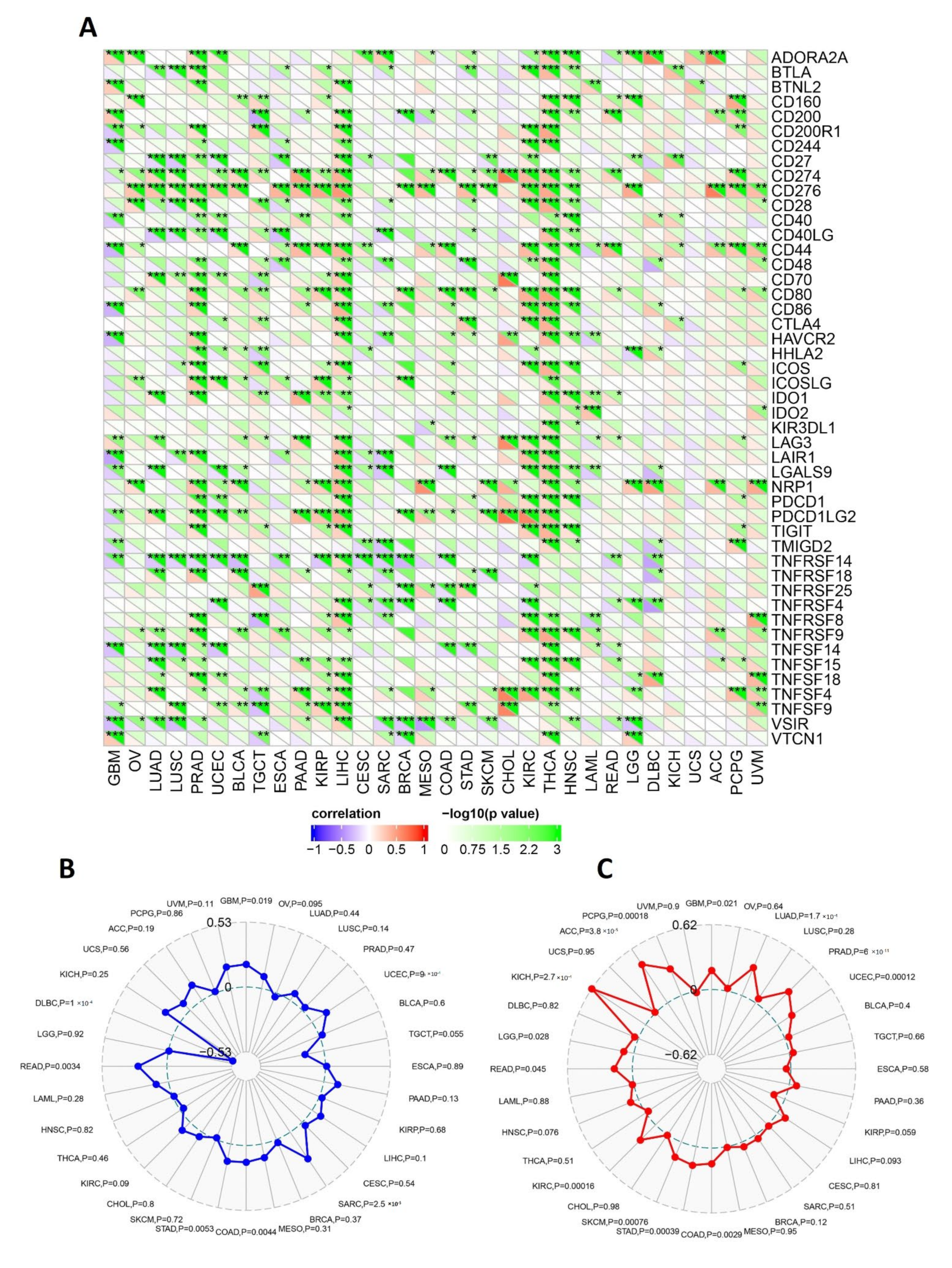 Ijms 23 14102 g008 Ijms 23 14102 g008