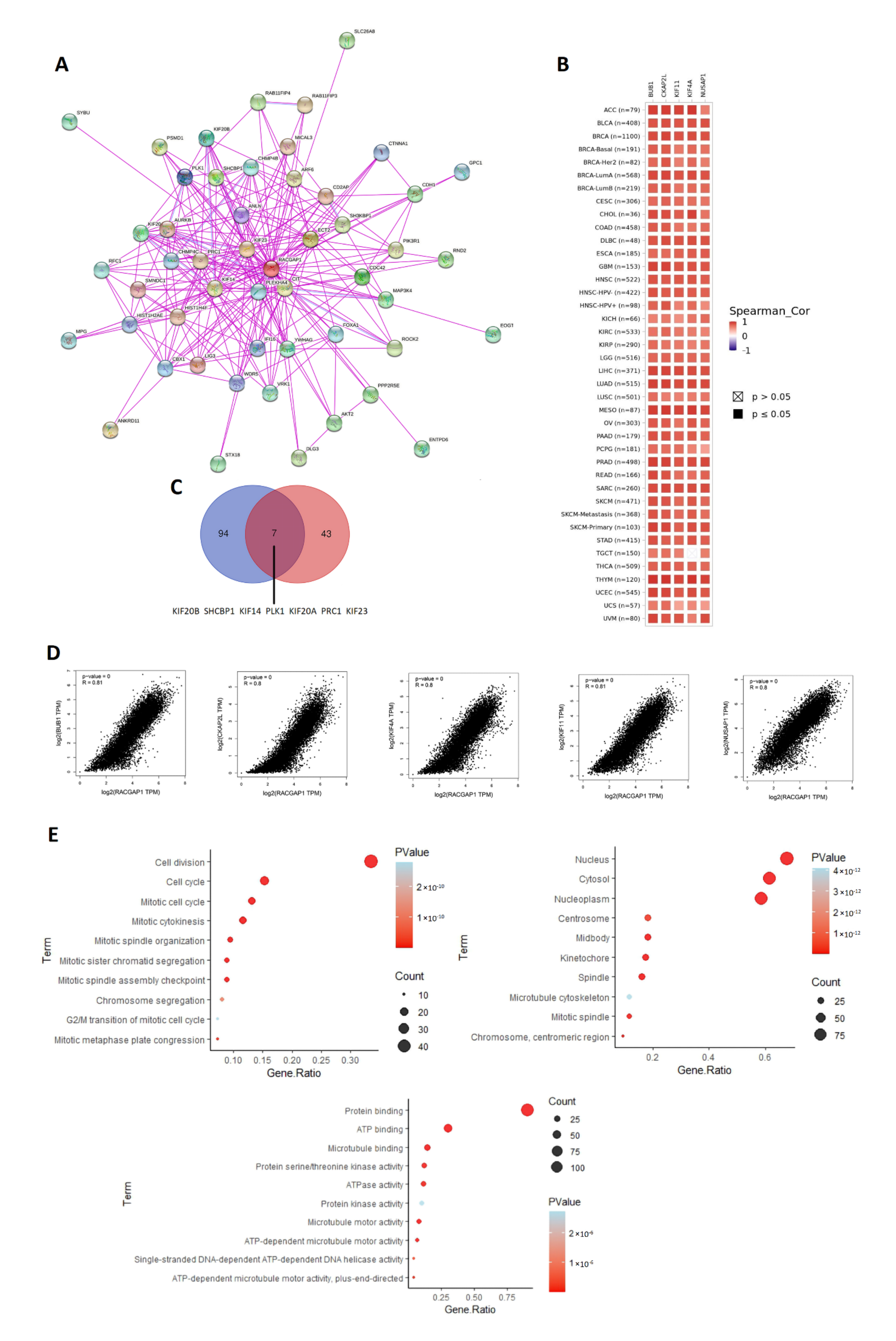 Ijms 23 14102 g009 Ijms 23 14102 g009