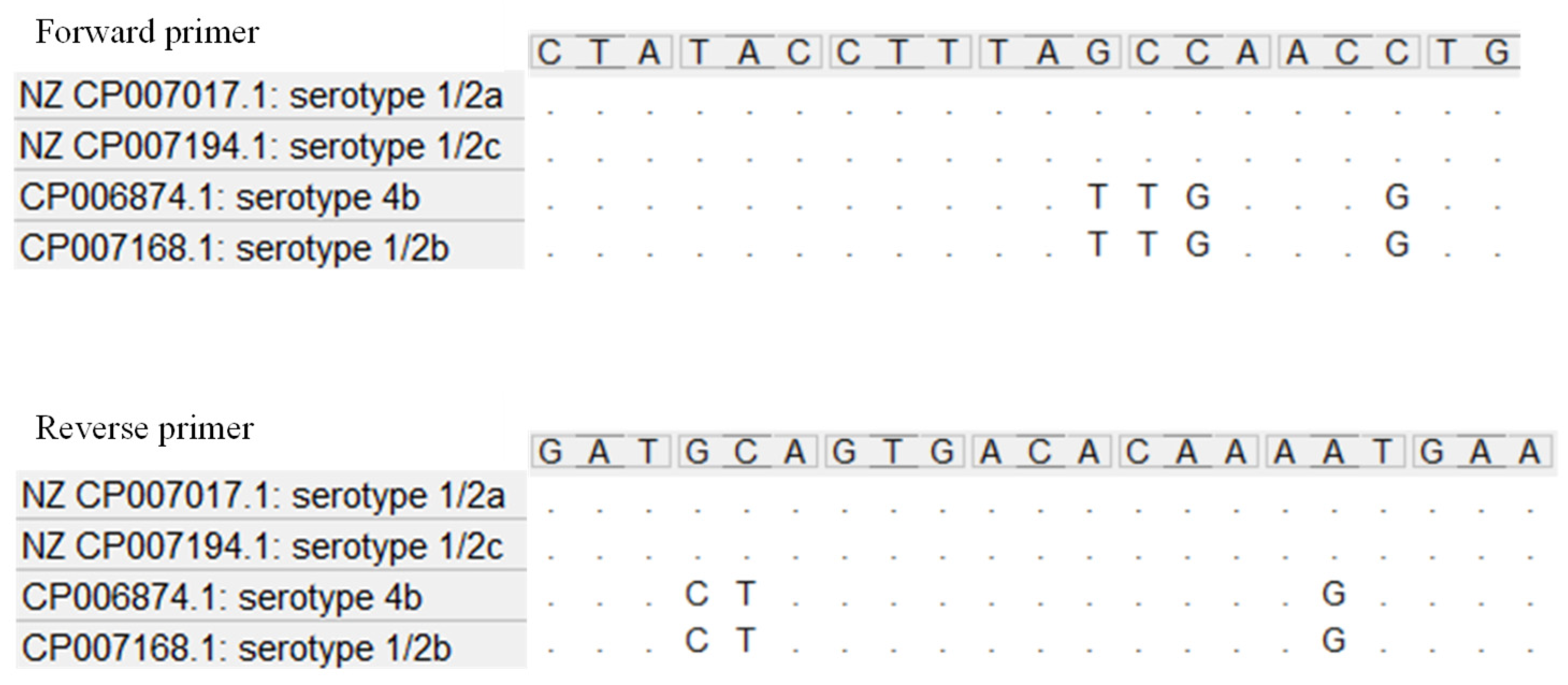 Ijms 23 14106 g002 Ijms 23 14106 g002