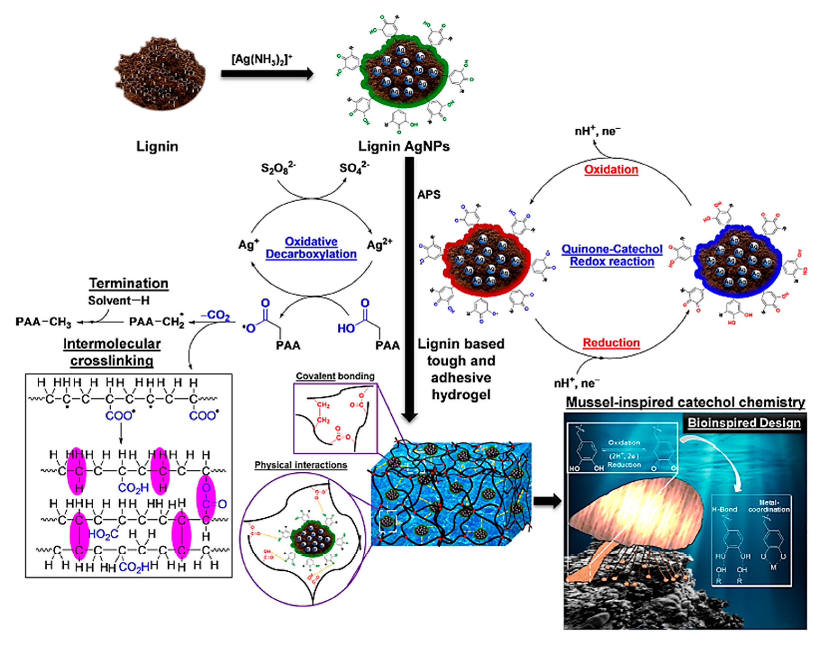 Ijms 23 14108 g003 Ijms 23 14108 g003