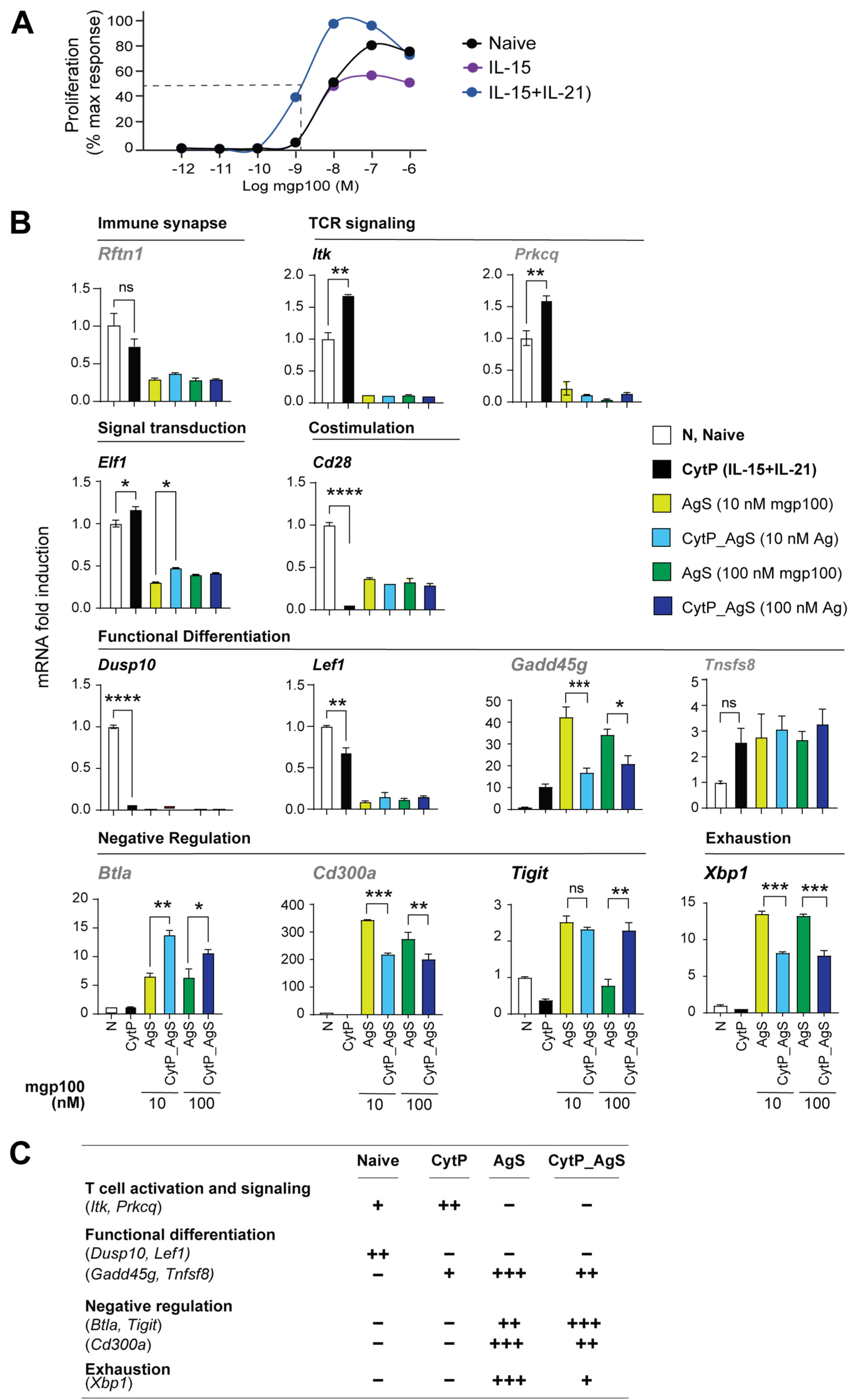 Ijms 23 14122 g007 Ijms 23 14122 g007