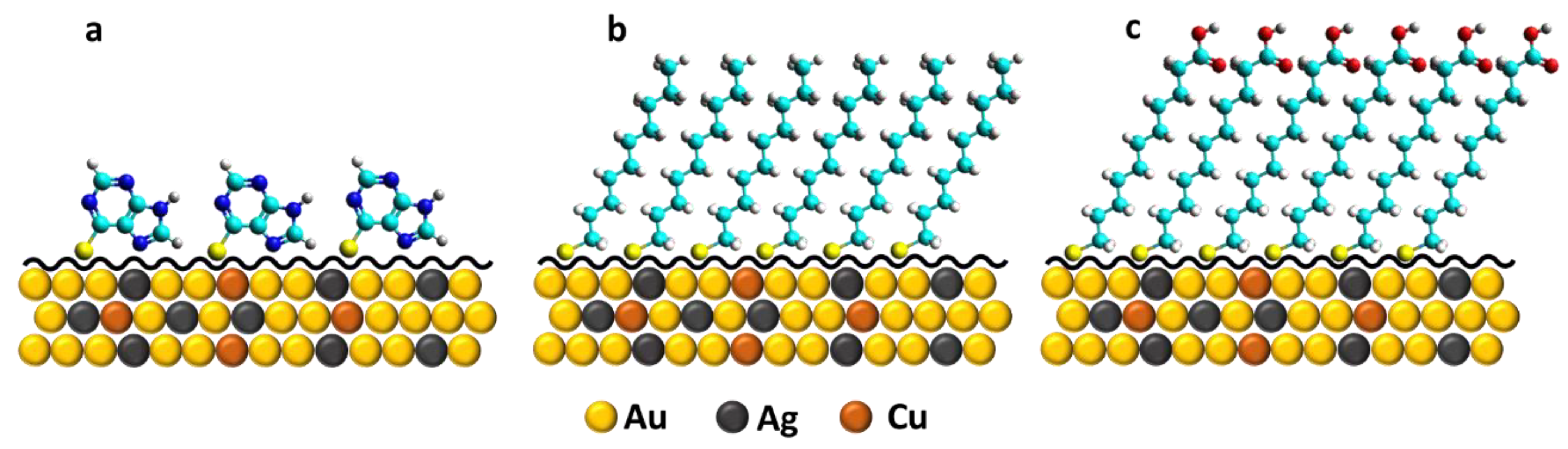 Ijms 23 14132 sch001 Ijms 23 14132 sch001