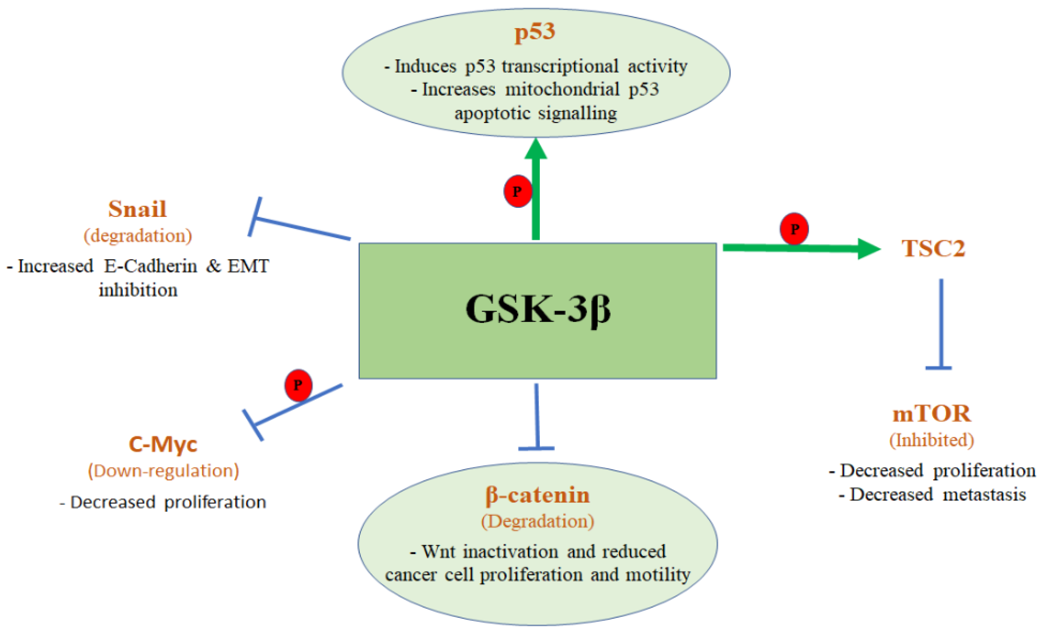 Ijms 23 14133 g002 Ijms 23 14133 g002