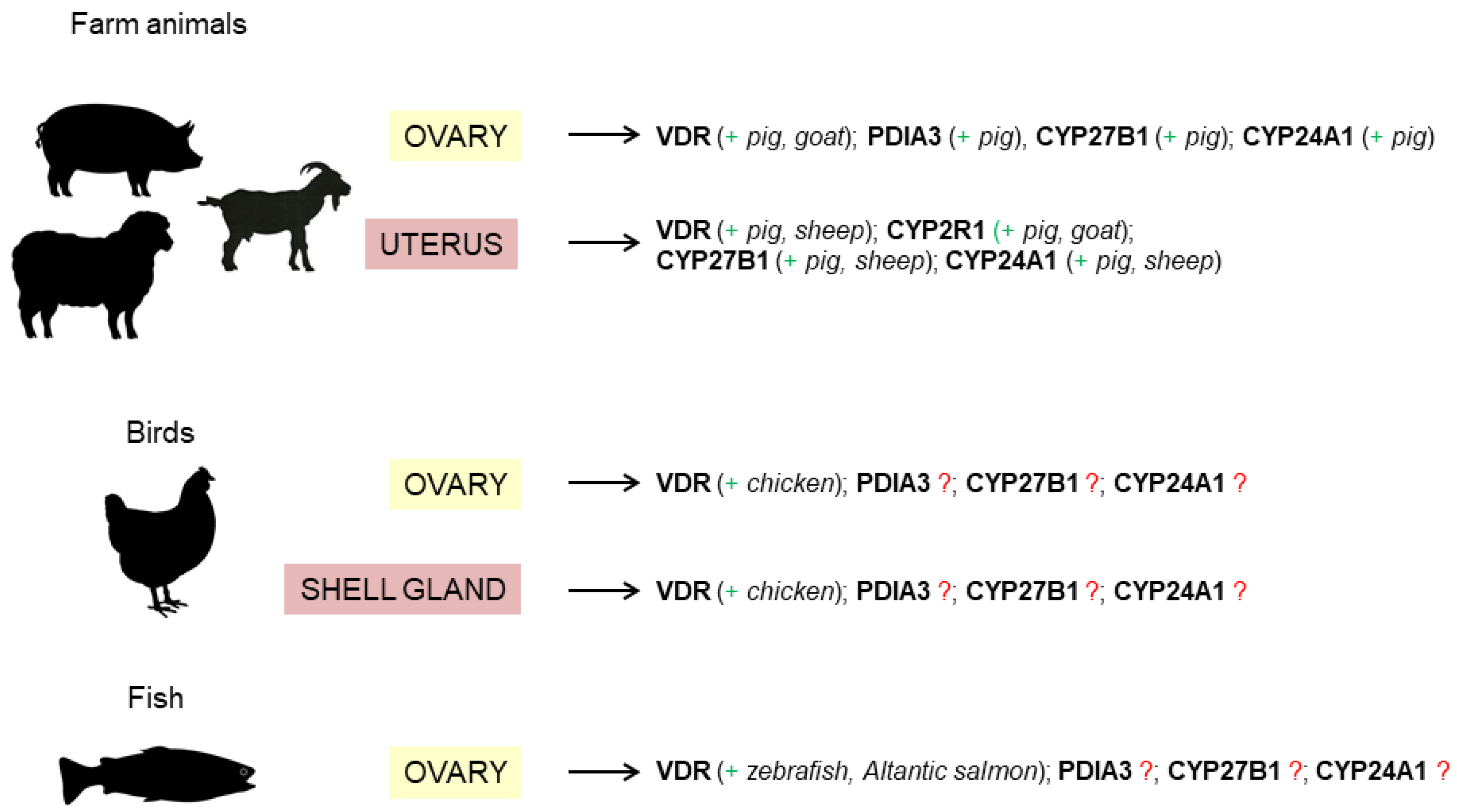 Ijms 23 14137 g002 Ijms 23 14137 g002