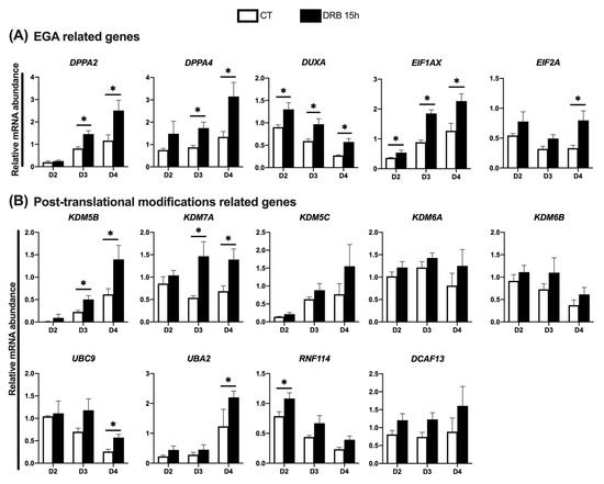 Simultaneous Inhibition of Histone Deacetylases and RNA Synthesis ...