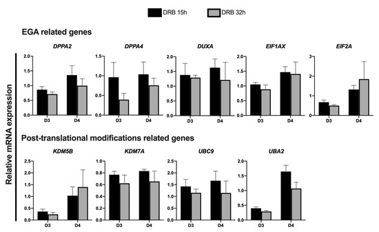 Simultaneous Inhibition of Histone Deacetylases and RNA Synthesis ...