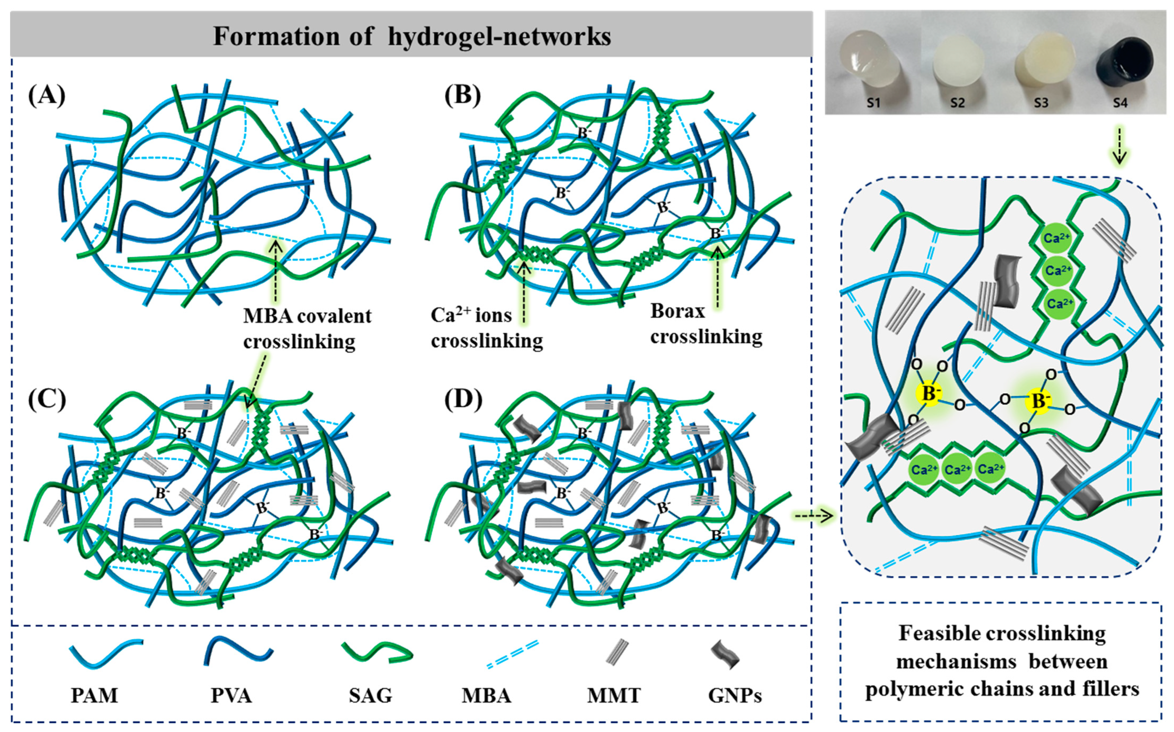 Ijms 23 14158 g001 Ijms 23 14158 g001