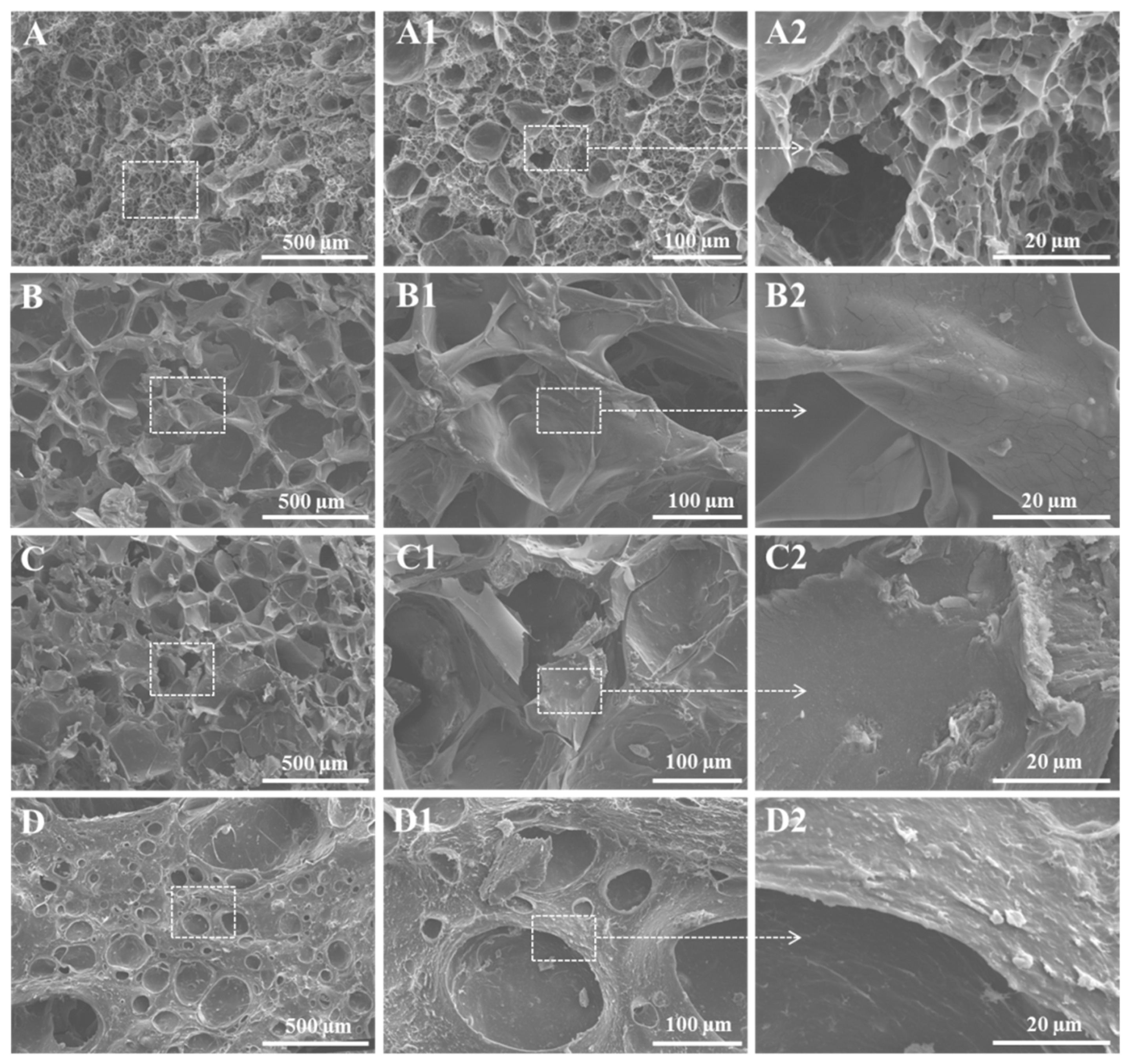 Ijms 23 14158 g003 Ijms 23 14158 g003