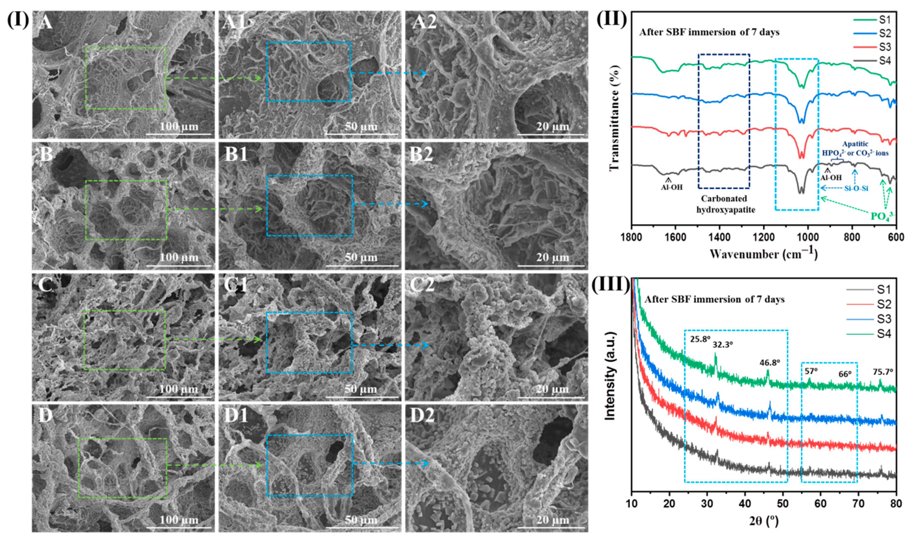 Ijms 23 14158 g005 Ijms 23 14158 g005