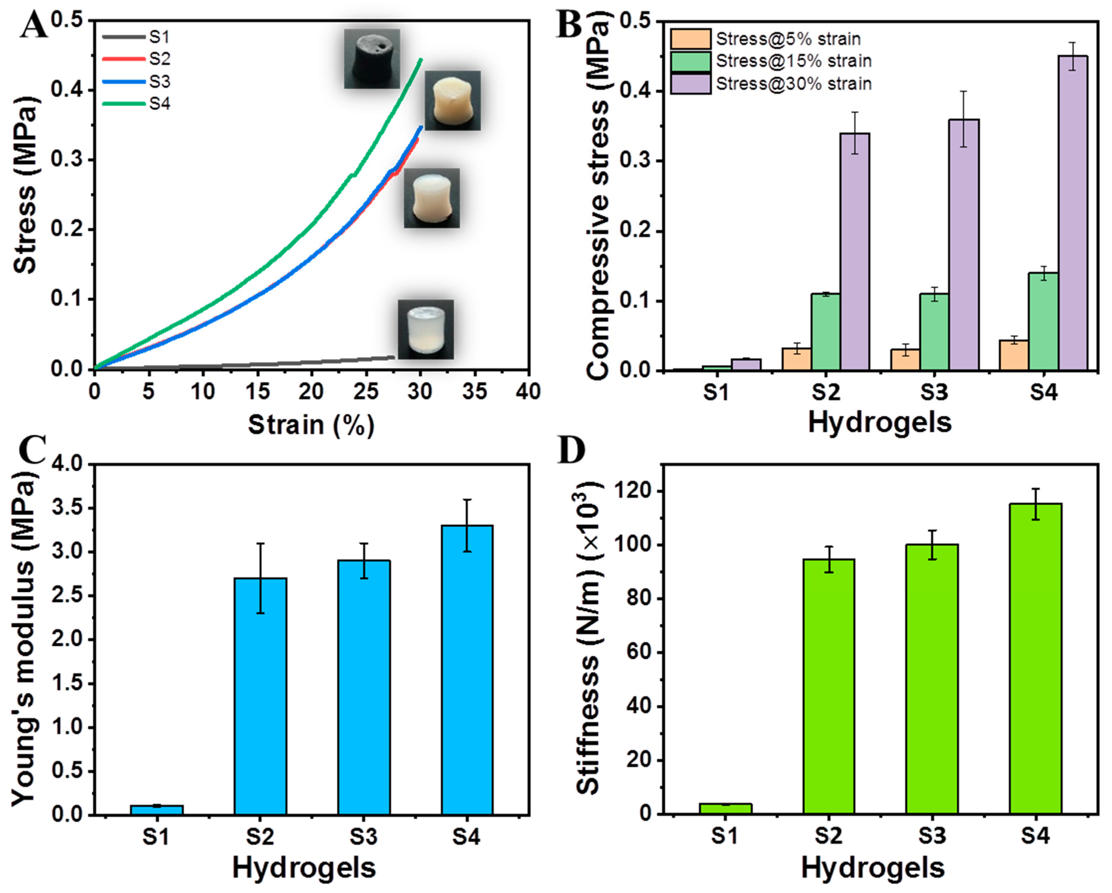 Ijms 23 14158 g006 Ijms 23 14158 g006