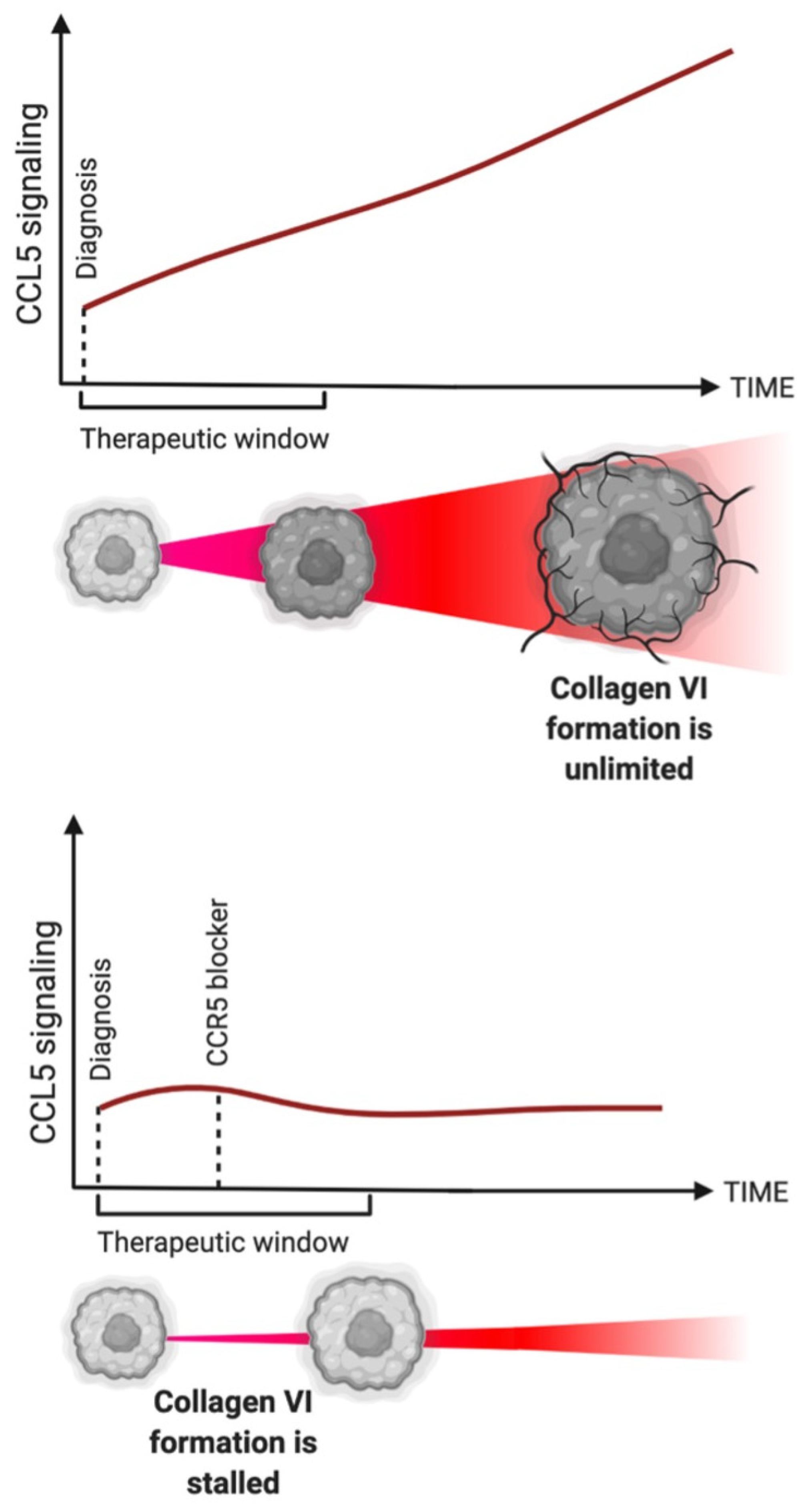 Ijms 23 14159 g001 Ijms 23 14159 g001
