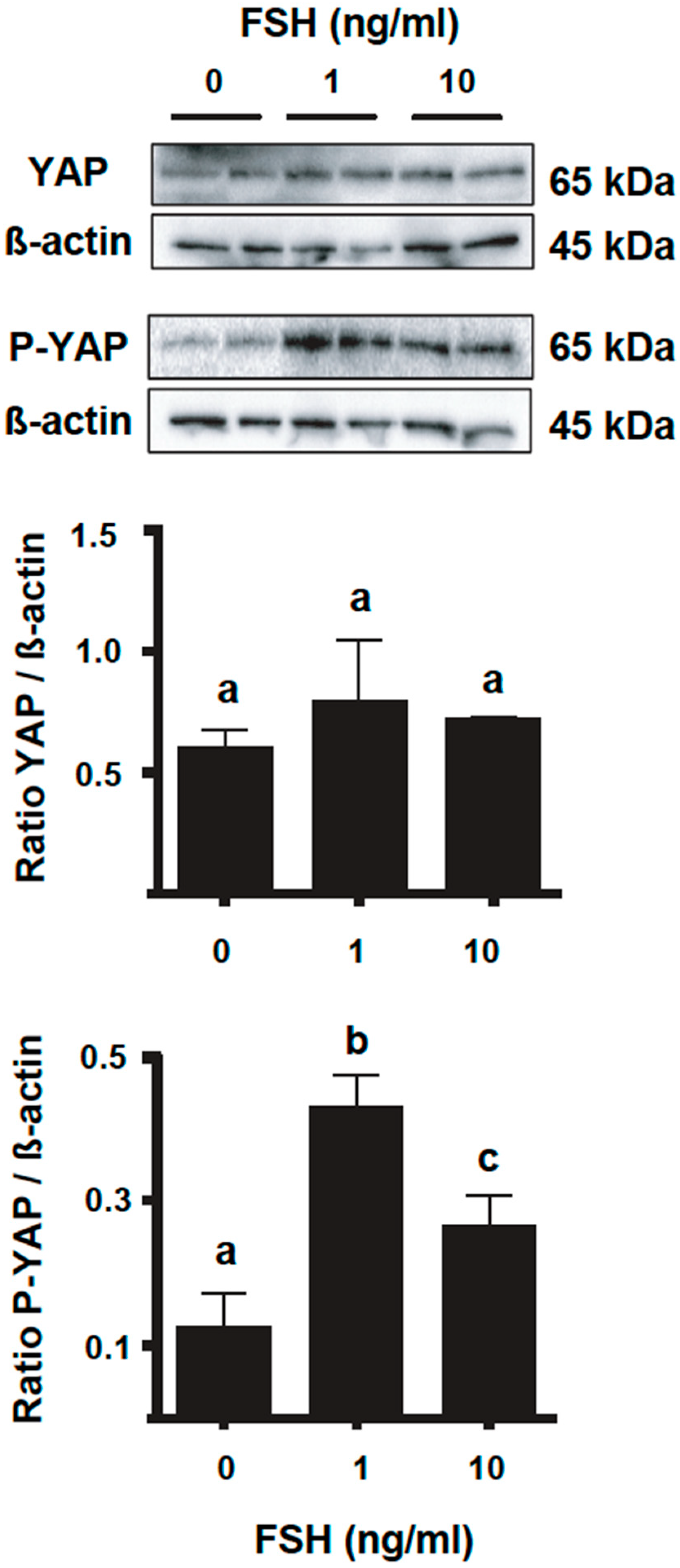 Ijms 23 14160 g003 Ijms 23 14160 g003